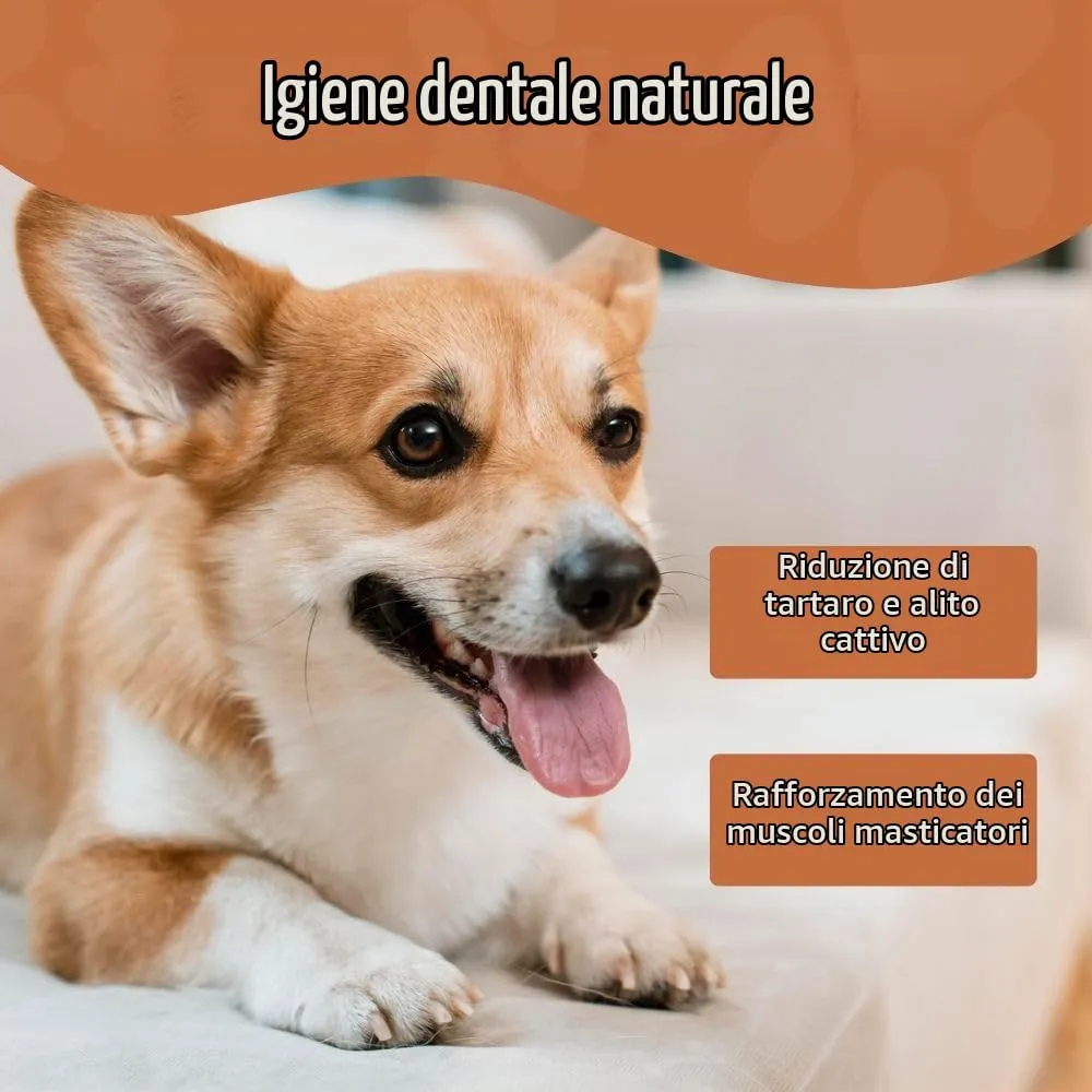 Wildfang Stick da masticare di formaggio duro per cani, 42 g (Confezione da 2) - immagine 8