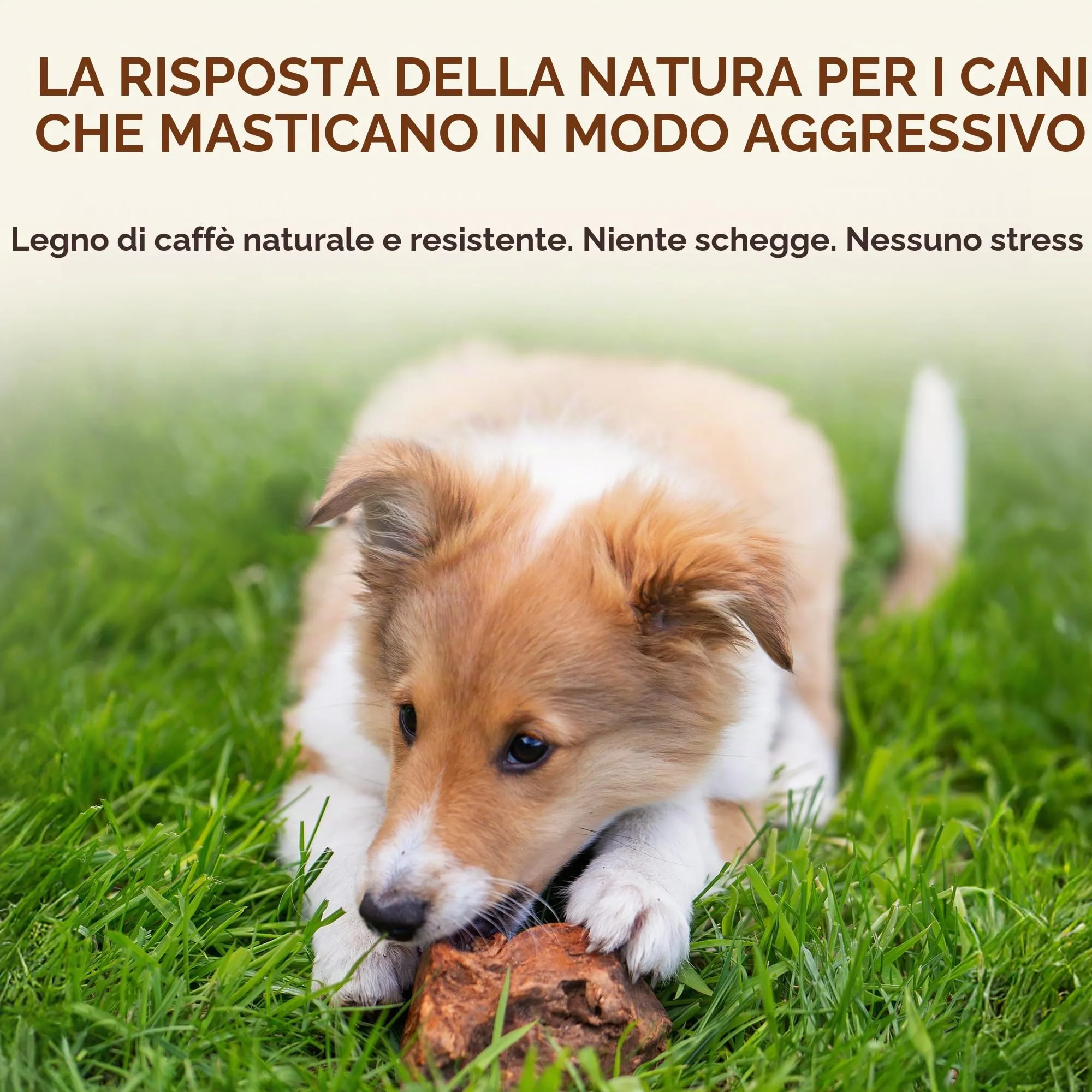 Wildfang Radice di Erica Arborea per Cani, Taglia L (25–45 kg) - immagine 4
