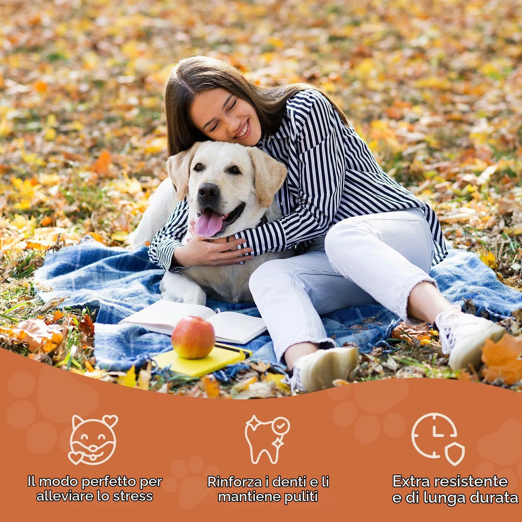 Wildfang Radice di Erica Arborea per Cani, Taglia L (25–45 kg) - immagine 10