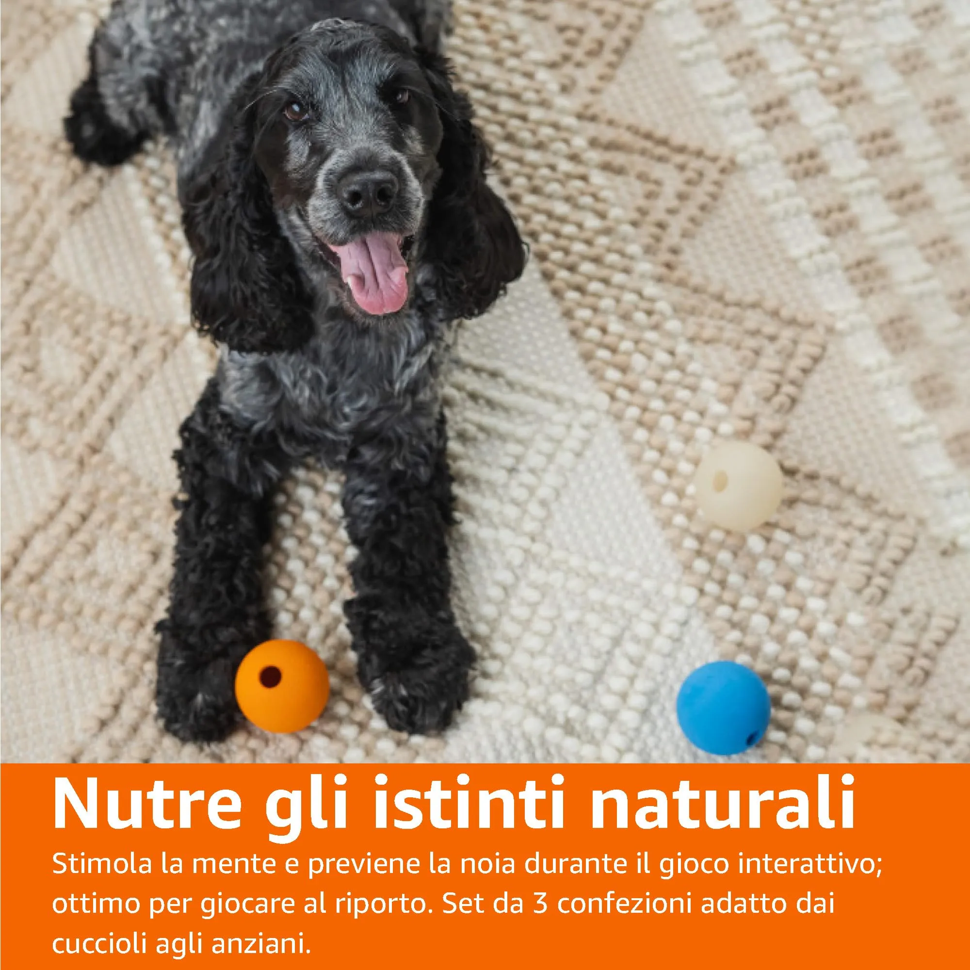 Amazon Basics Set di Palline Giocattolo per Cani, 6.35 cm, Confezione da 3, Blu, Beige, Arancione - immagine 7