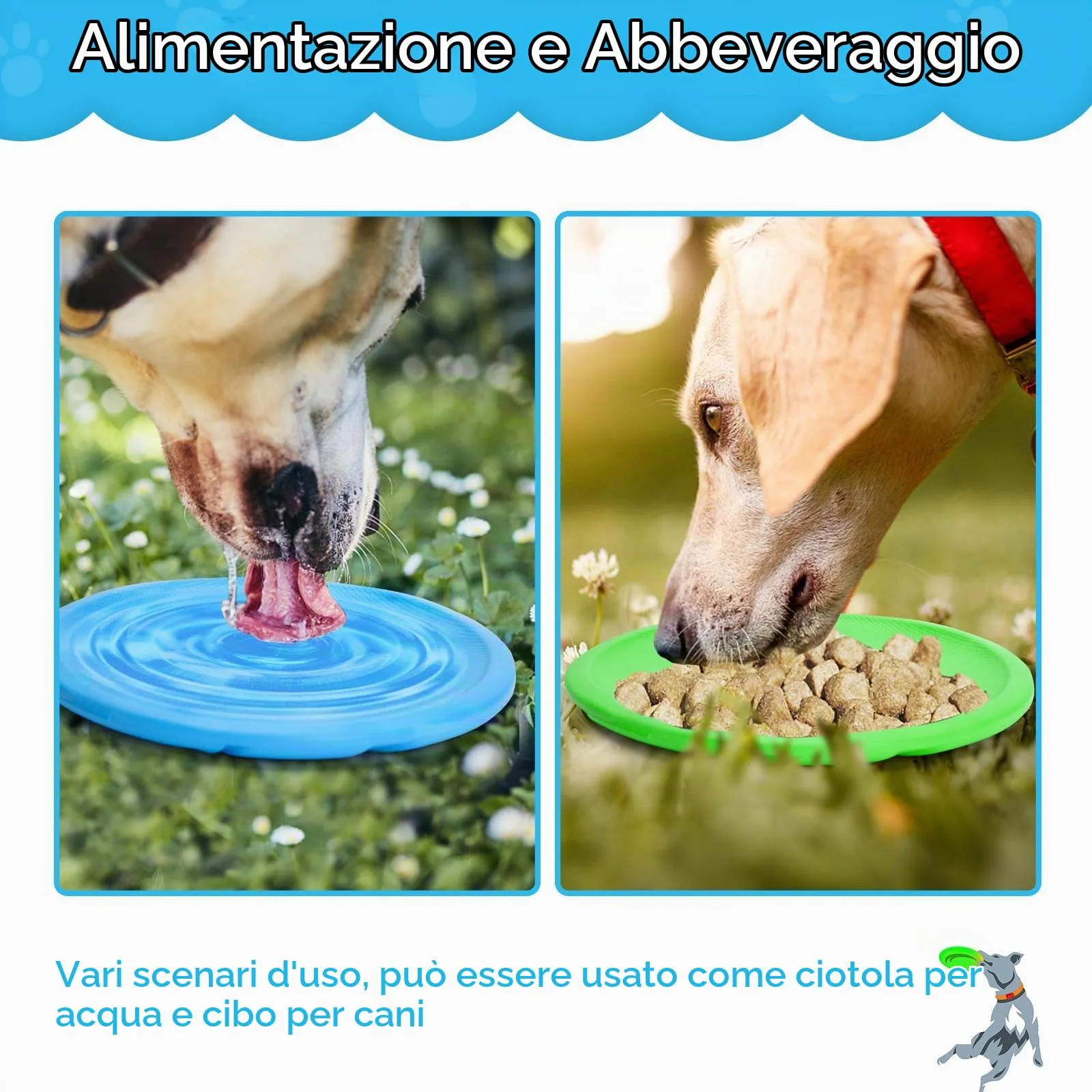 Nobleza Frisbee in Gomma Naturale per Cani, Set da 2, Diametro 20 cm, Blu e Verde - immagine 3