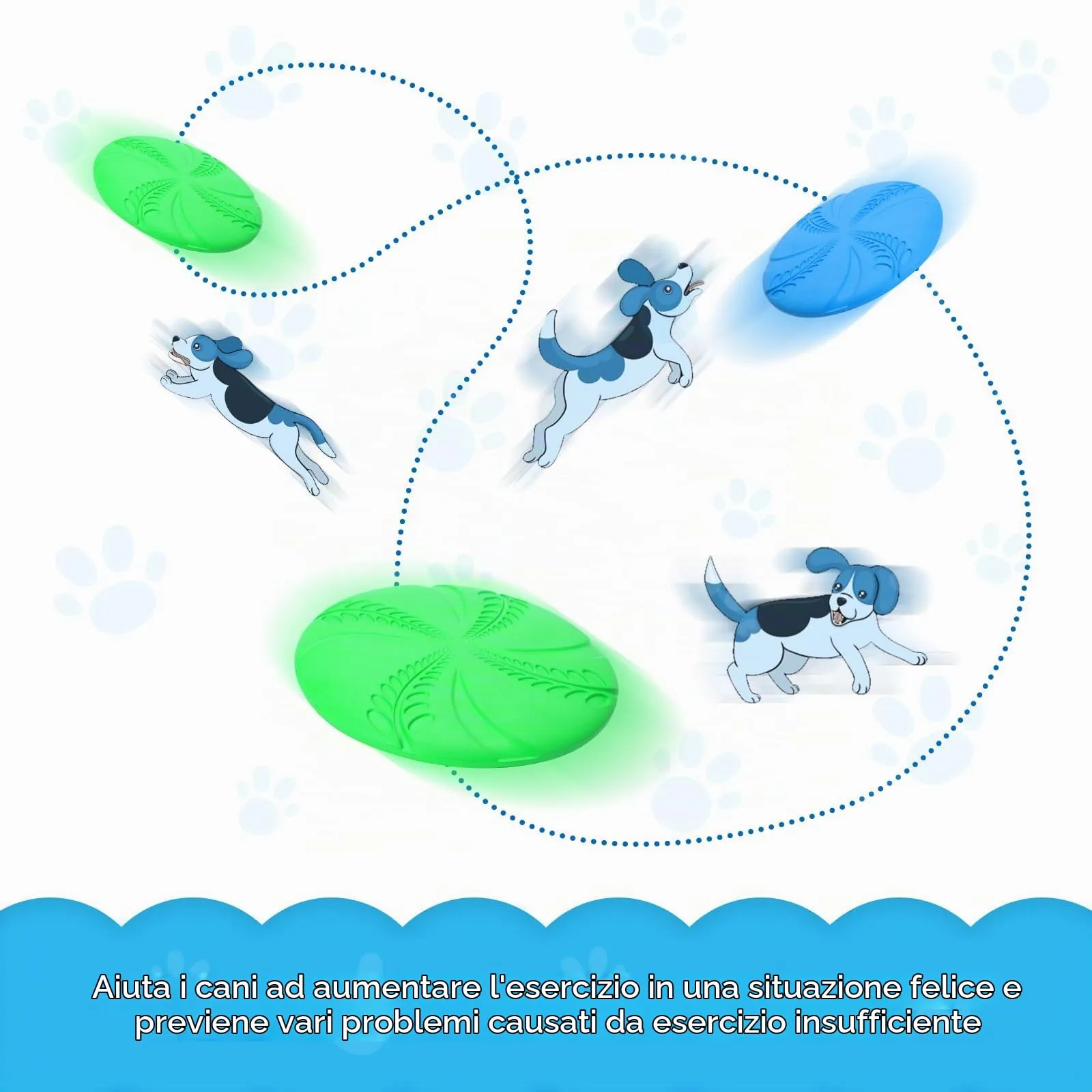 Nobleza Frisbee in Gomma Naturale per Cani, Set da 2, Diametro 20 cm, Blu e Verde - immagine 6