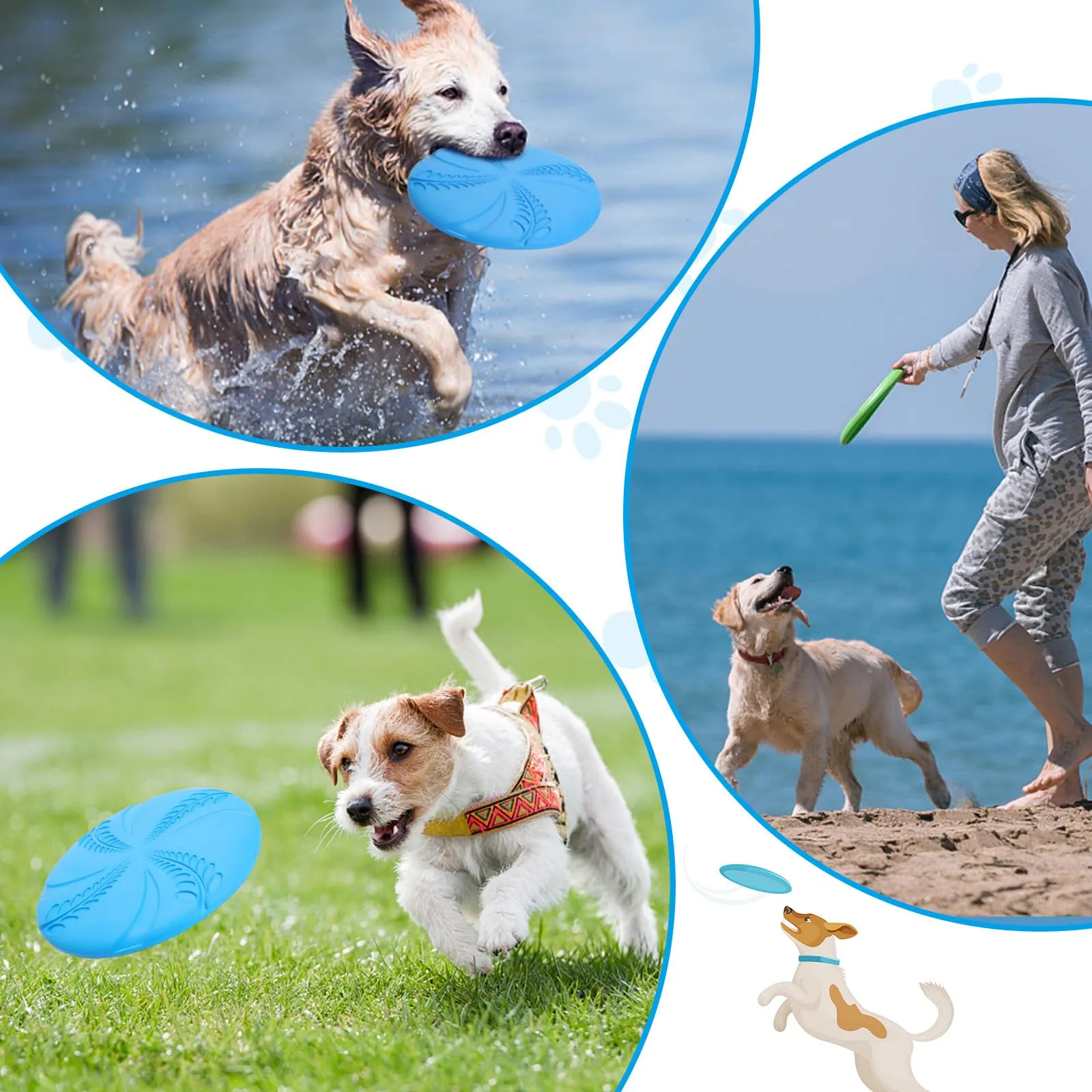 Nobleza Frisbee in Gomma Naturale per Cani, Set da 2, Diametro 20 cm, Blu e Verde - immagine 7