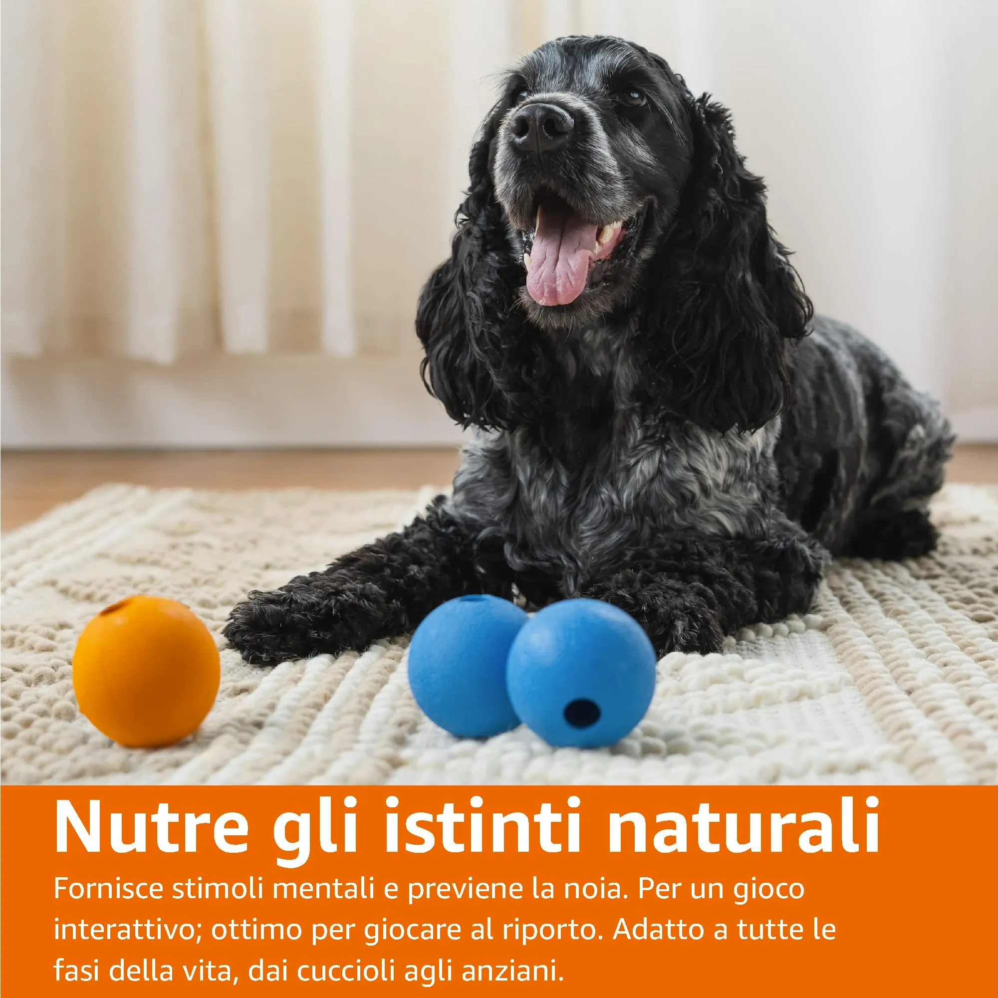 Amazon Basics Palline Giocattolo da Riporto in Gomma per Cani, 6.35 cm, Confezione da 3, Blu e Arancione - immagine 4