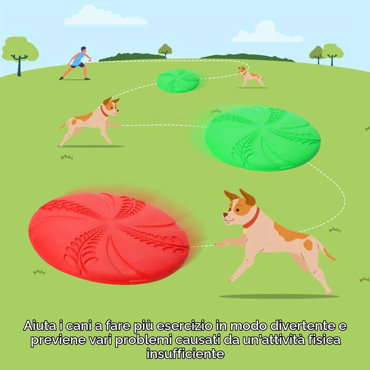 Nobleza Frisbee per Cani in Gomma, 2 Unità, 20 cm, Rosso e Verde - immagine 3
