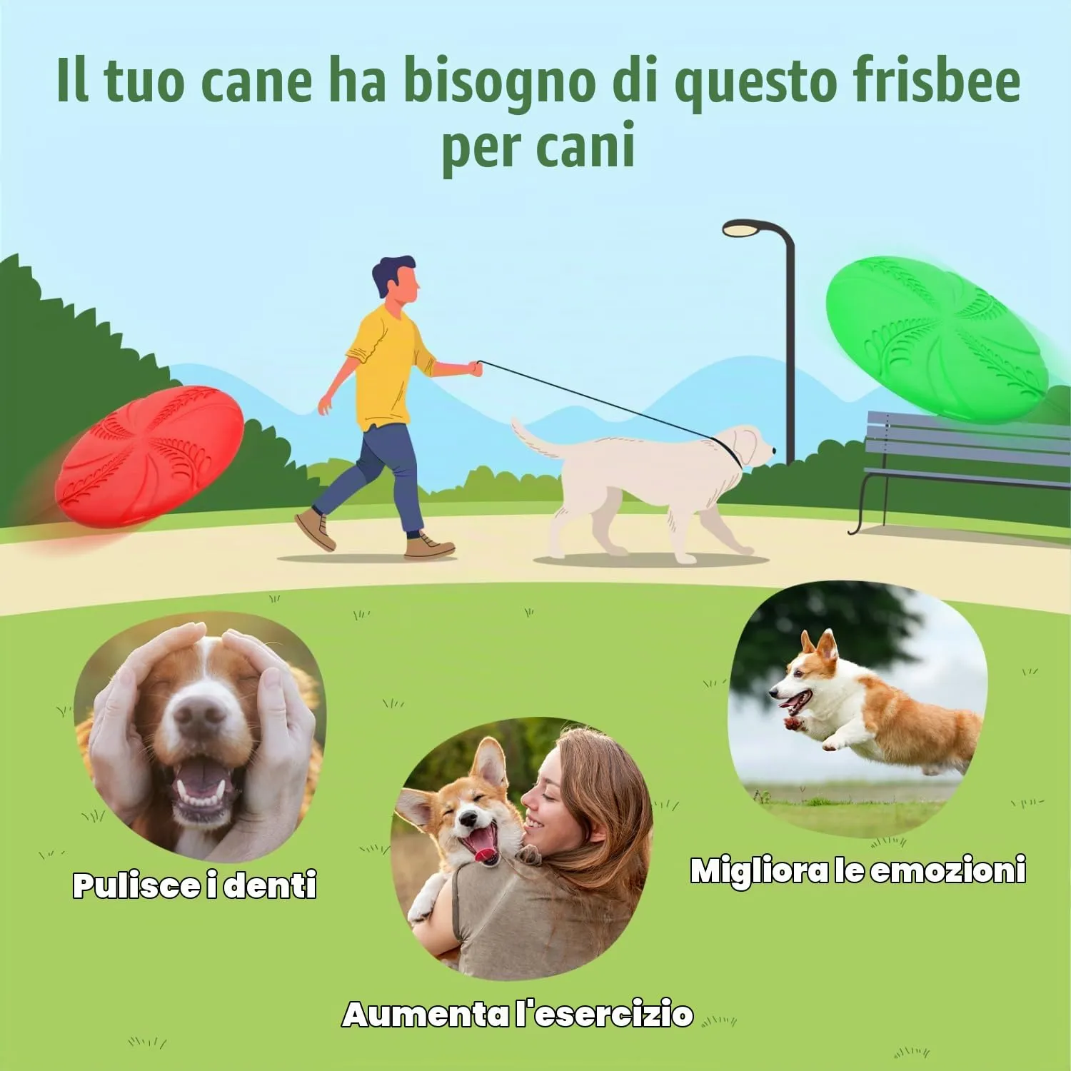 Nobleza Frisbee per Cani in Gomma, 2 Unità, 20 cm, Rosso e Verde - immagine 4