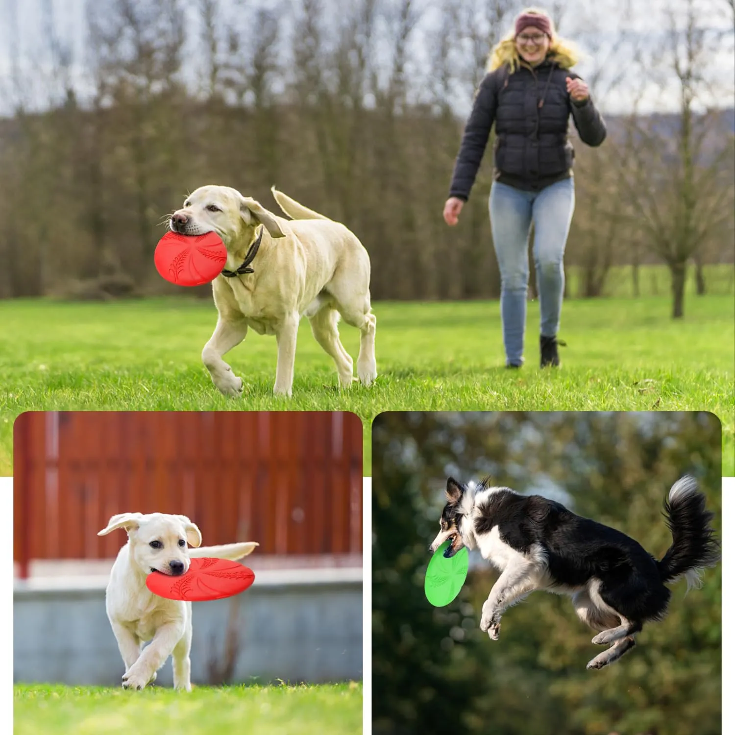 Nobleza Frisbee per Cani in Gomma, 2 Unità, 20 cm, Rosso e Verde - immagine 7