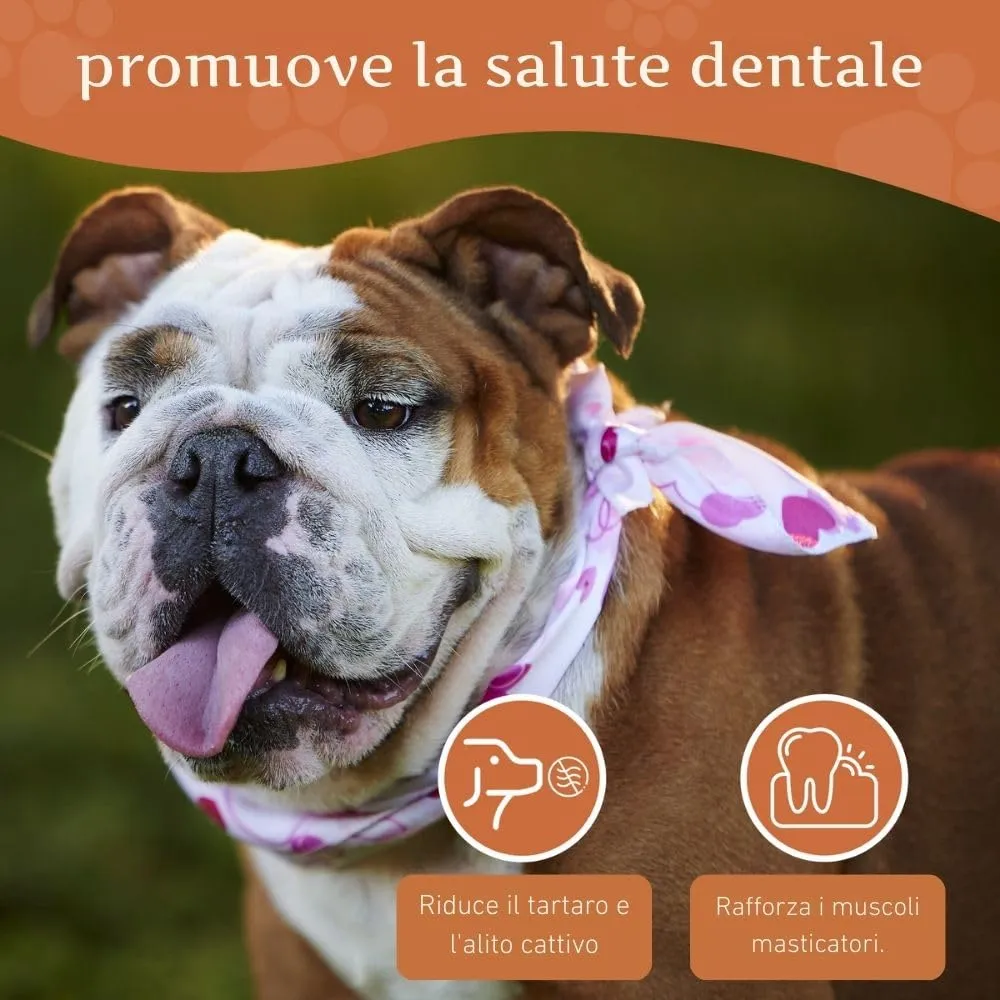 Wildfang Radice di Erica Arborea per Cani, Taglia M (15–25 kg), 1 pz - immagine 4