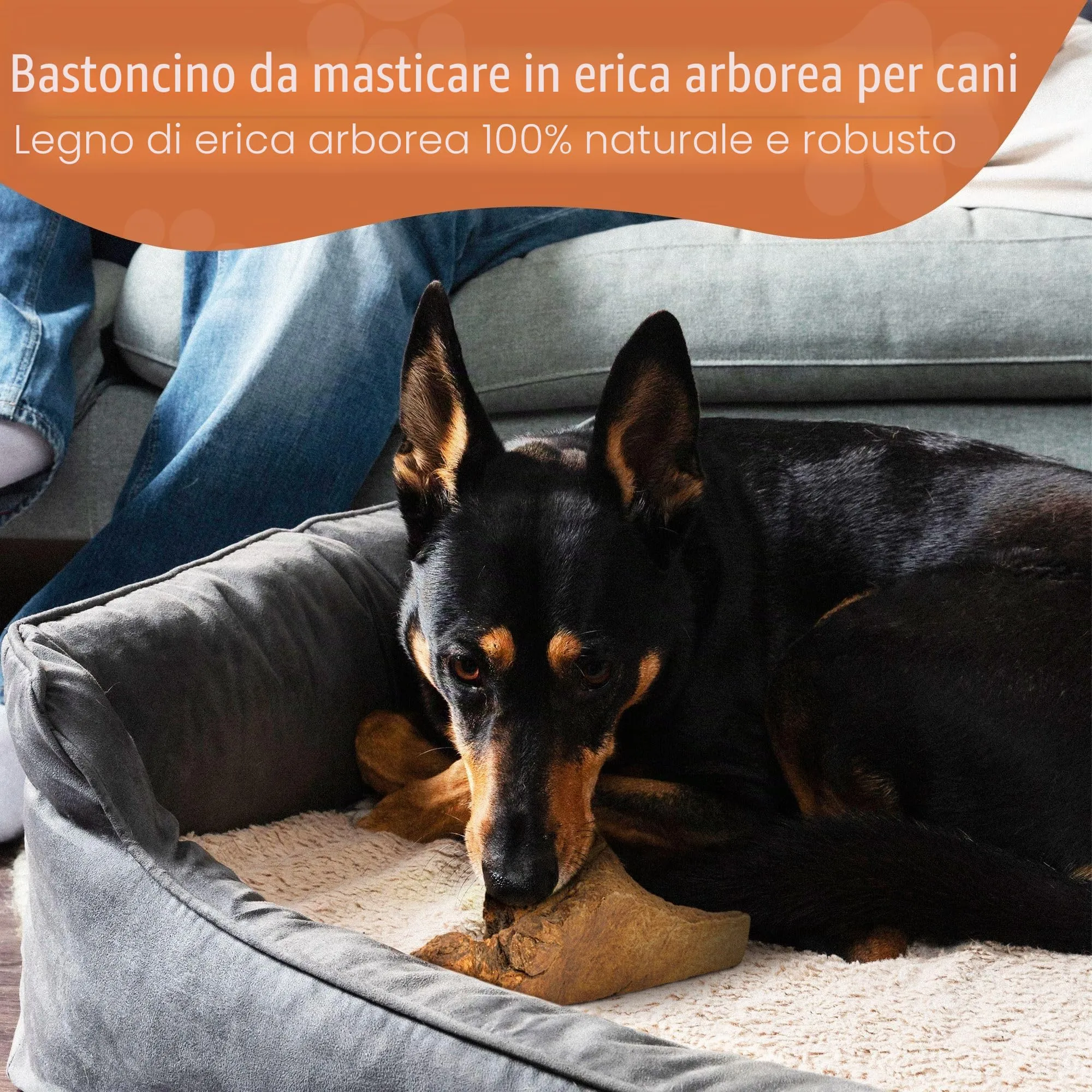 Wildfang Radice di Erica Arborea per Cani, Taglia XXL, 1 pz - immagine 8