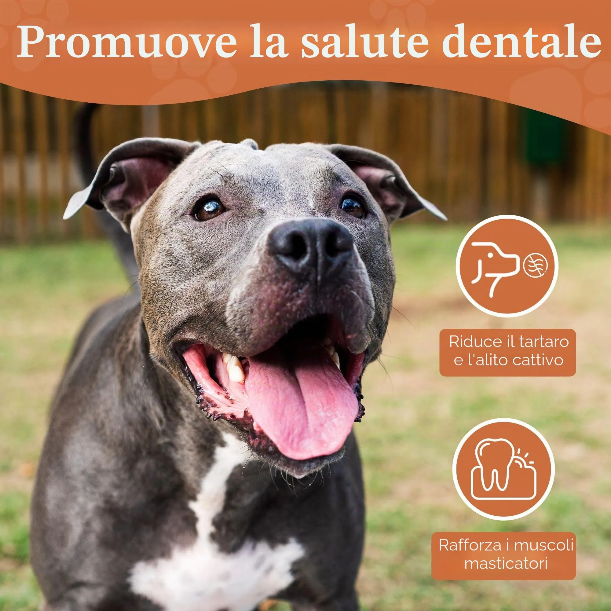 Wildfang Radice di Erica Arborea per Cani, Taglia XXL, 1 pz - immagine 9
