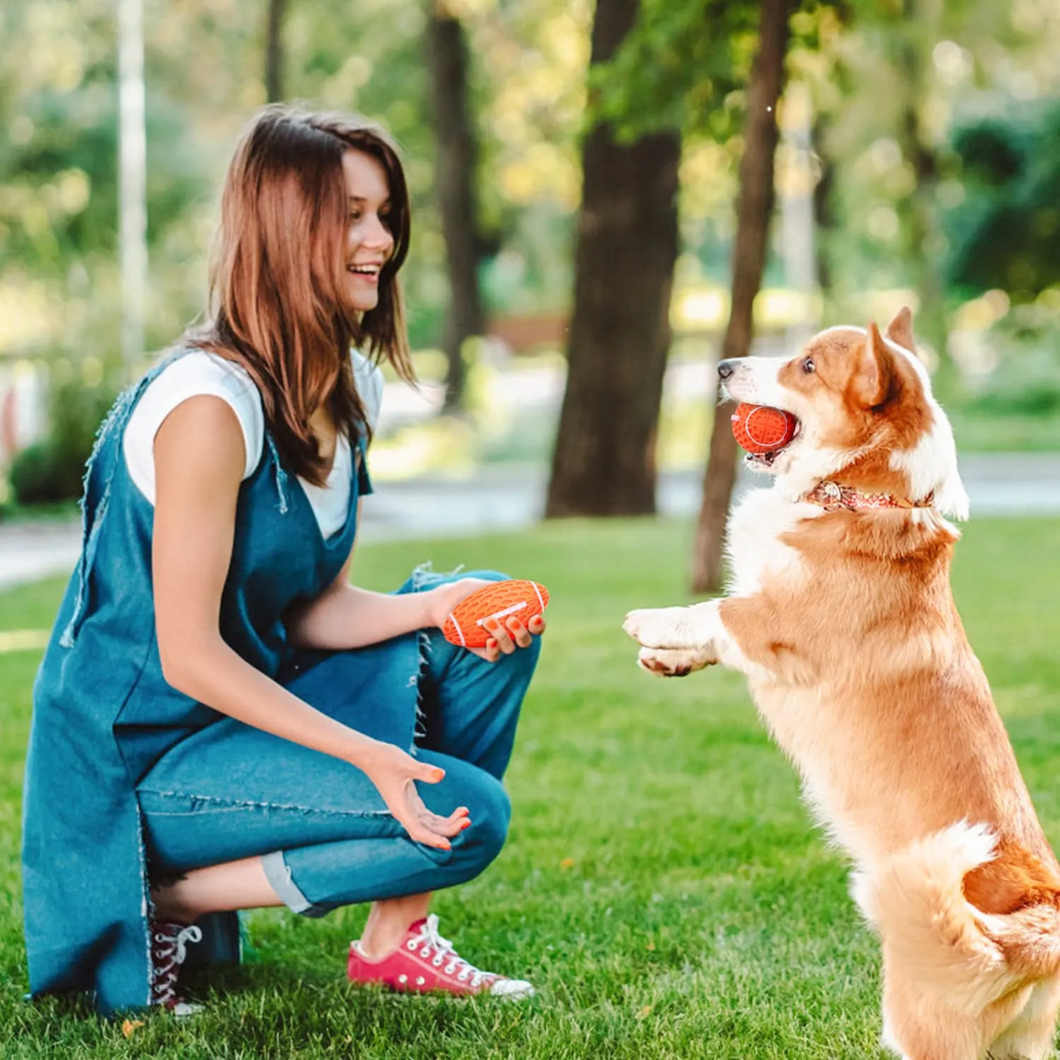 Nobleza Palla Giocattolo per Cani in Gomma Naturale con Squeak, L10.3*W5.6CM - immagine 8