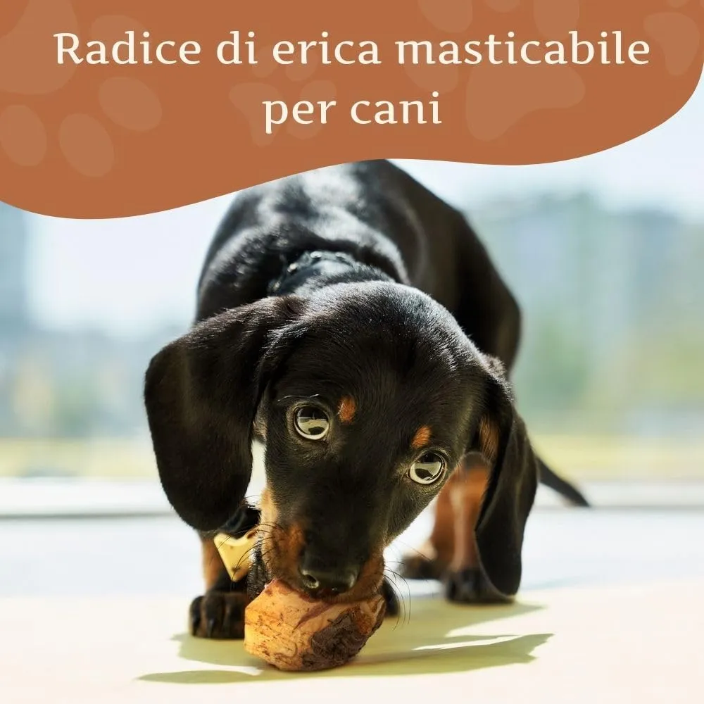 Wildfang Radice di Erica Arborea per Cani, Taglia S, 3 pz - immagine 2