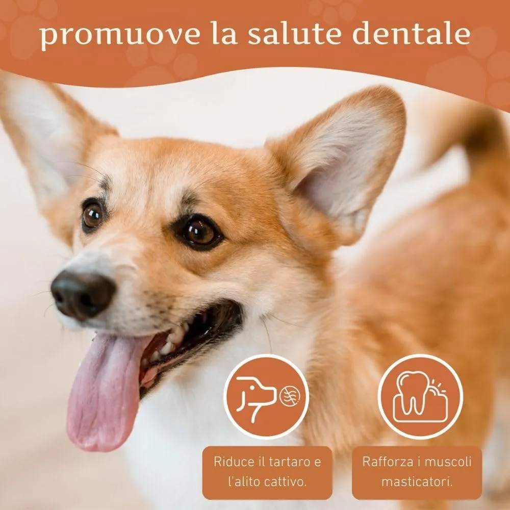 Wildfang Radice di Erica Arborea per Cani, Taglia S, 3 pz - immagine 4