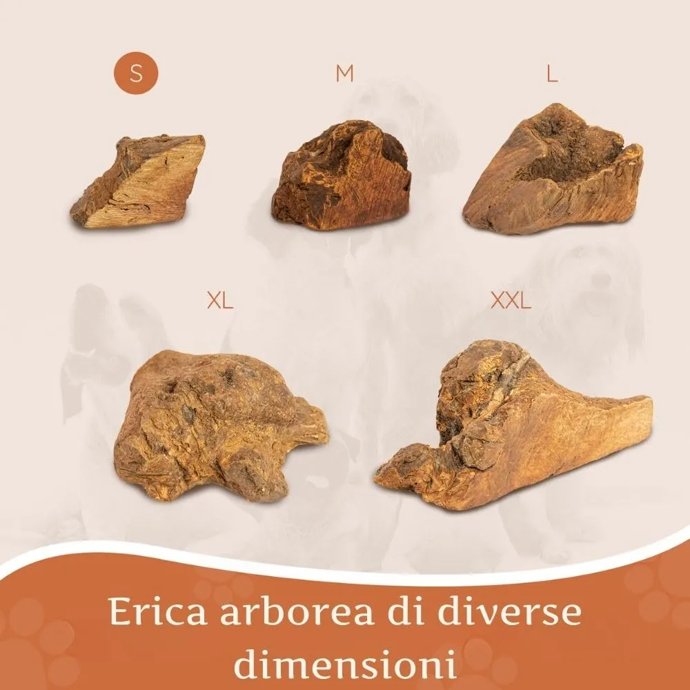 Wildfang Radice di Erica Arborea per Cani, Taglia S, 3 pz - immagine 7