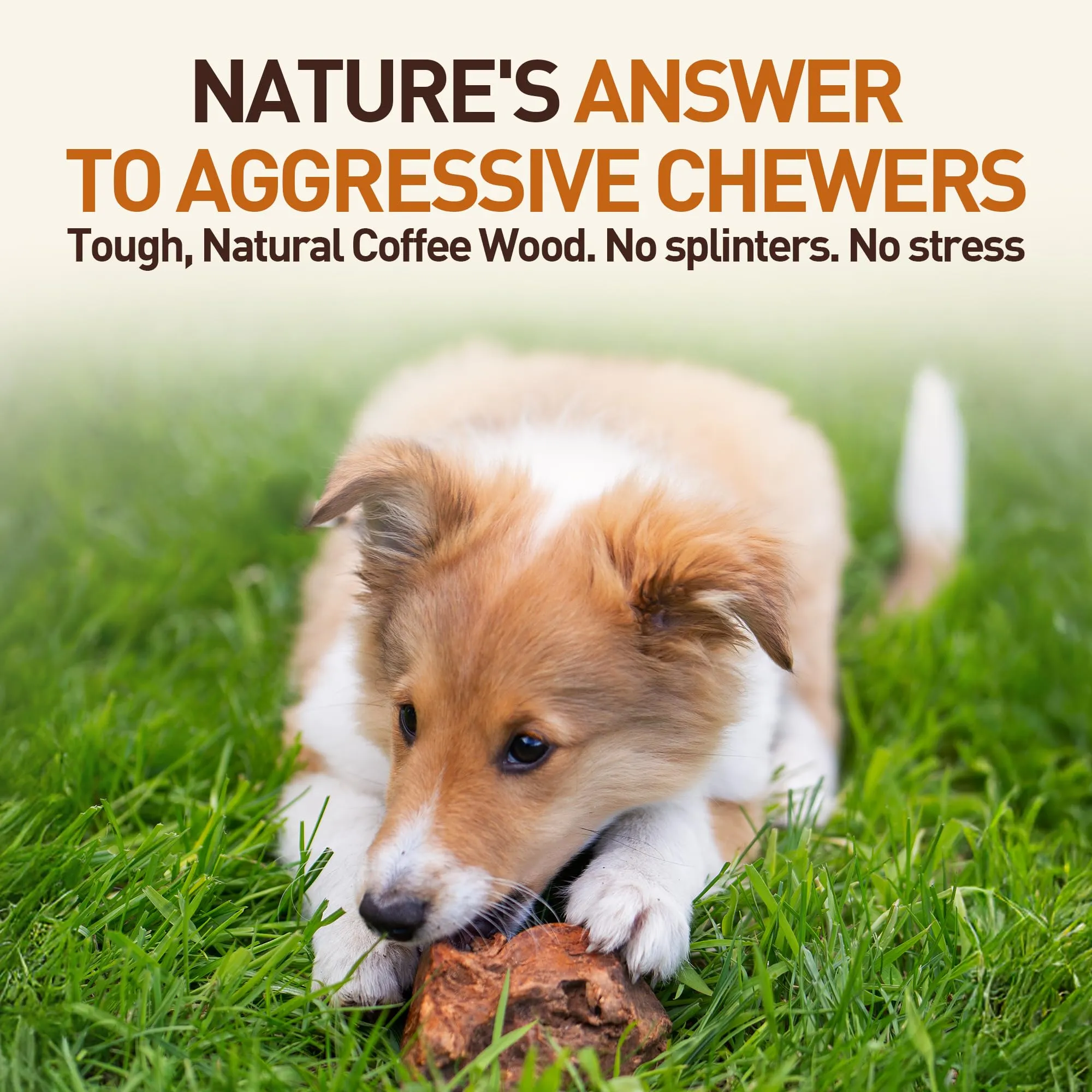 Wildfang Radice di Erica Arborea per Cani, Taglia XL (45–60 kg), 1 pz - immagine 4