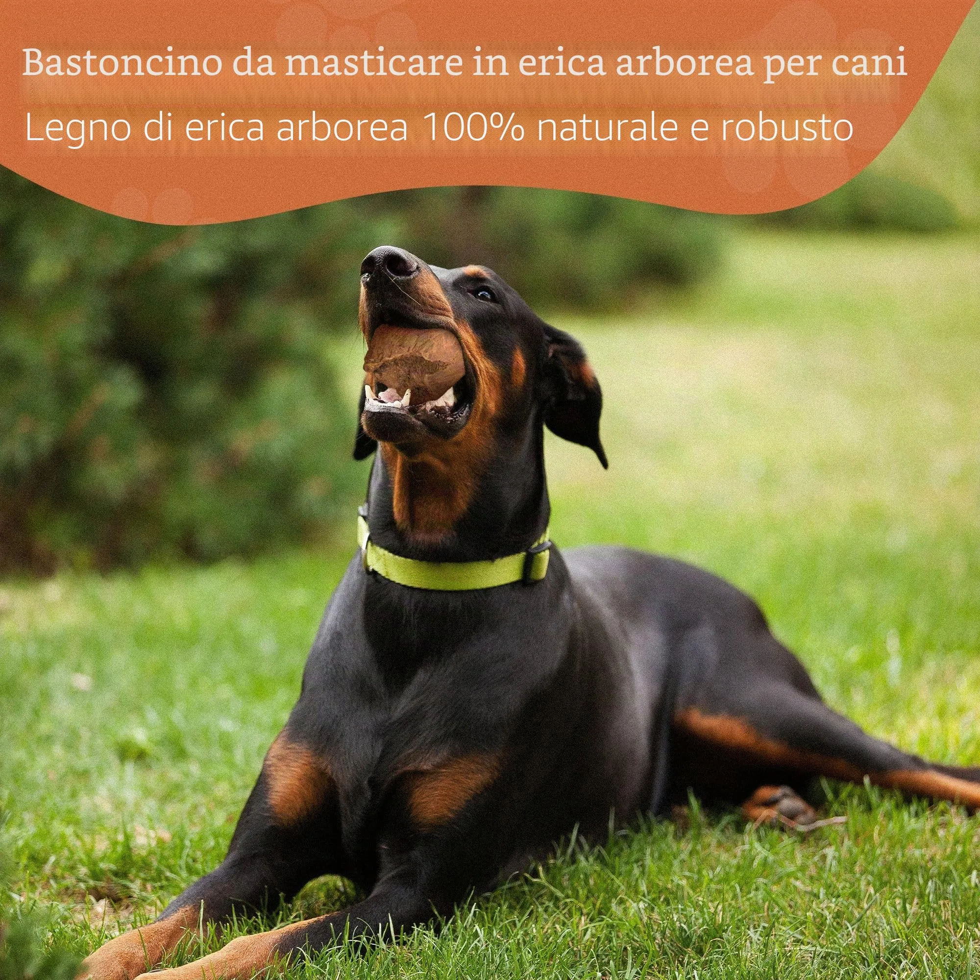 Wildfang Radice di Erica Arborea per Cani, Taglia XL (45–60 kg), 1 pz - immagine 8