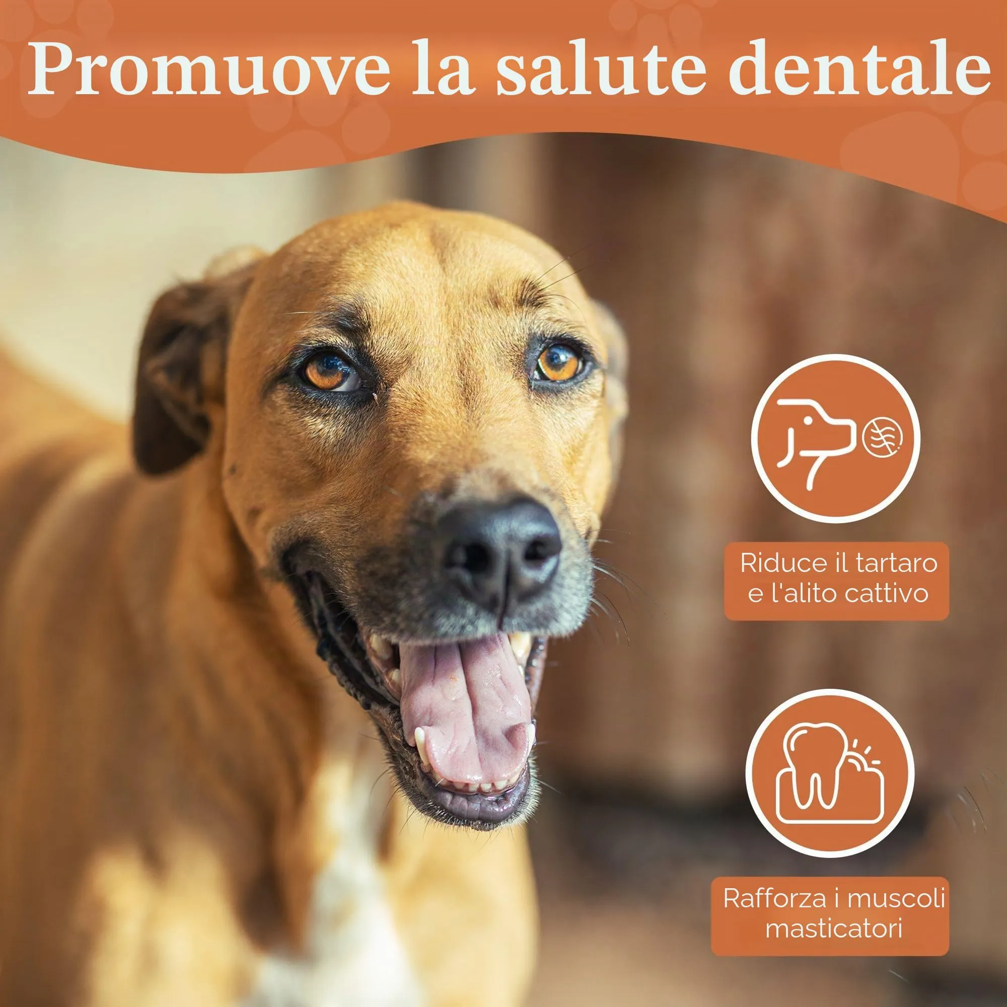 Wildfang Radice di Erica Arborea per Cani, Taglia XL (45–60 kg), 1 pz - immagine 9