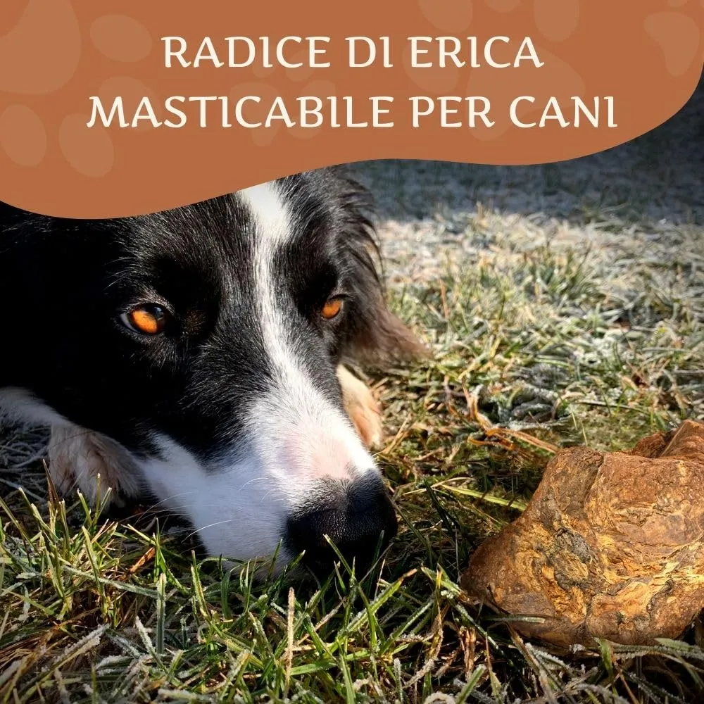 Wildfang Radice di Erica Arborea per Cani, Taglia L (25–45 kg), 3 pz - immagine 2