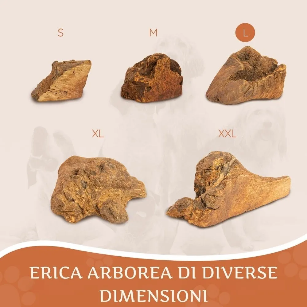 Wildfang Radice di Erica Arborea per Cani, Taglia L (25–45 kg), 3 pz - immagine 7