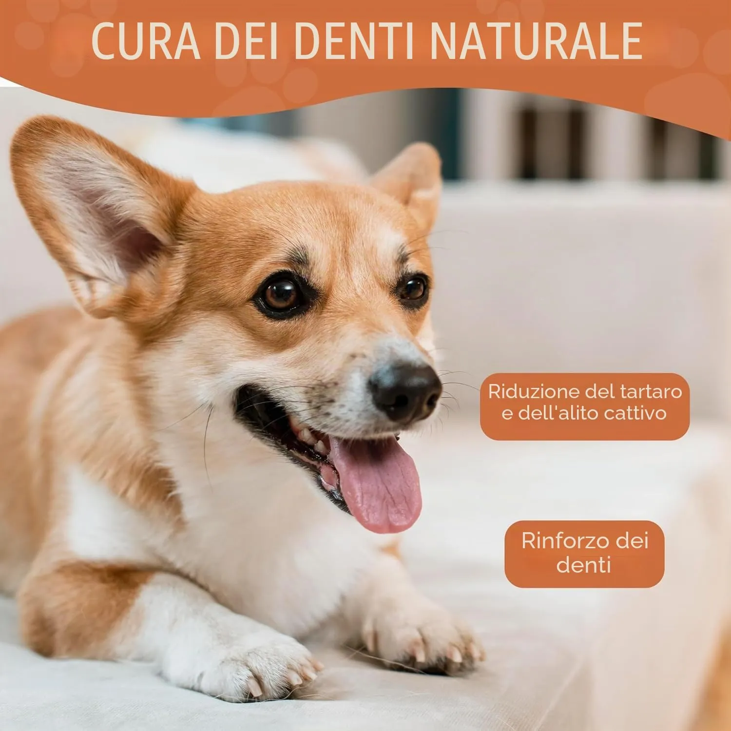 Wildfang Yak Chews Stile Churpi, Formaggio Himalayano 18-24g, Set da 6 - immagine 8