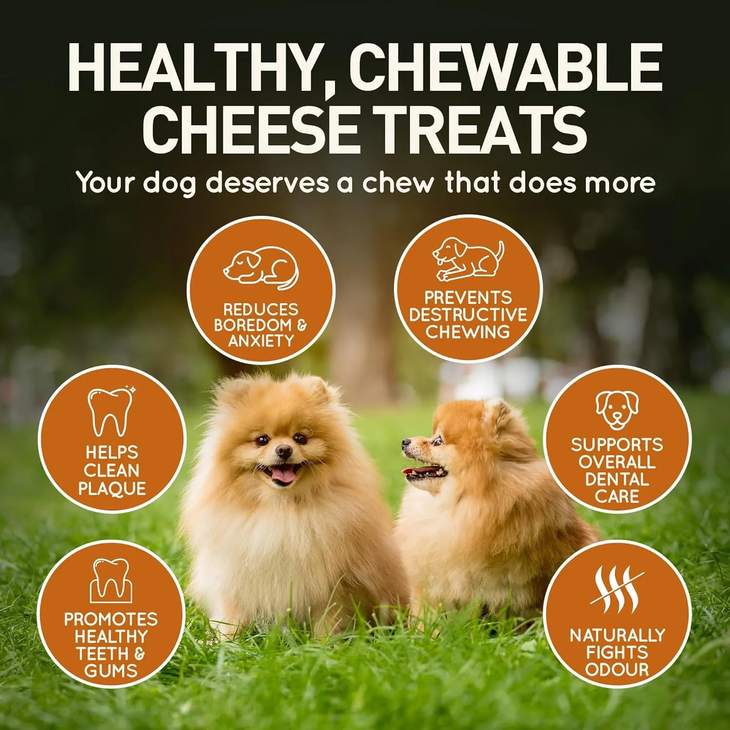 Wildfang Yak Chews Churpi Formaggio Himalayano 93-108g, Set da 6 - immagine 4