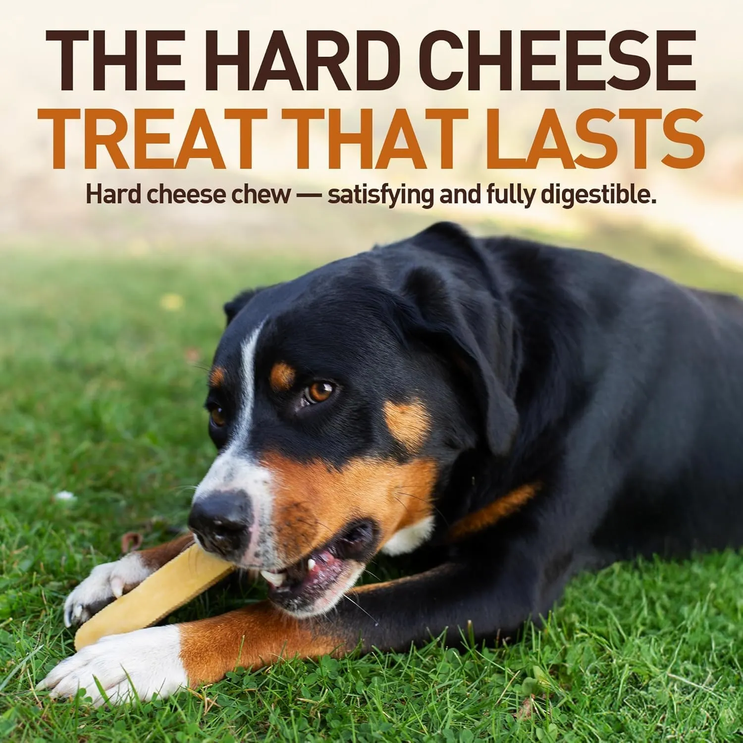 Wildfang Yak Chews Churpi Formaggio Himalayano 65-78g, set da 6 - immagine 3