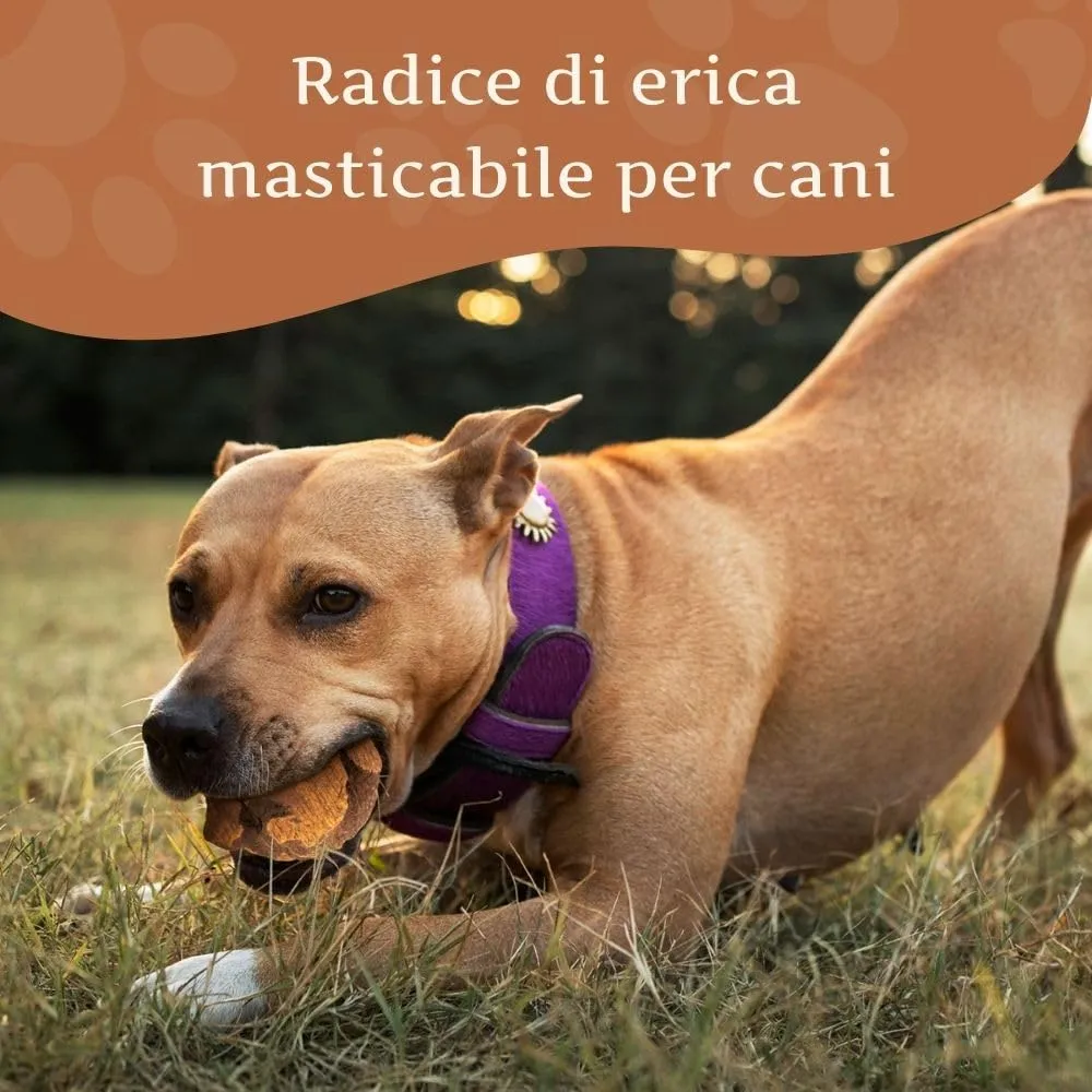 Wildfang Radice di Erica Arborea per Cani, Taglia M (15–25 kg), 3 pz - immagine 2