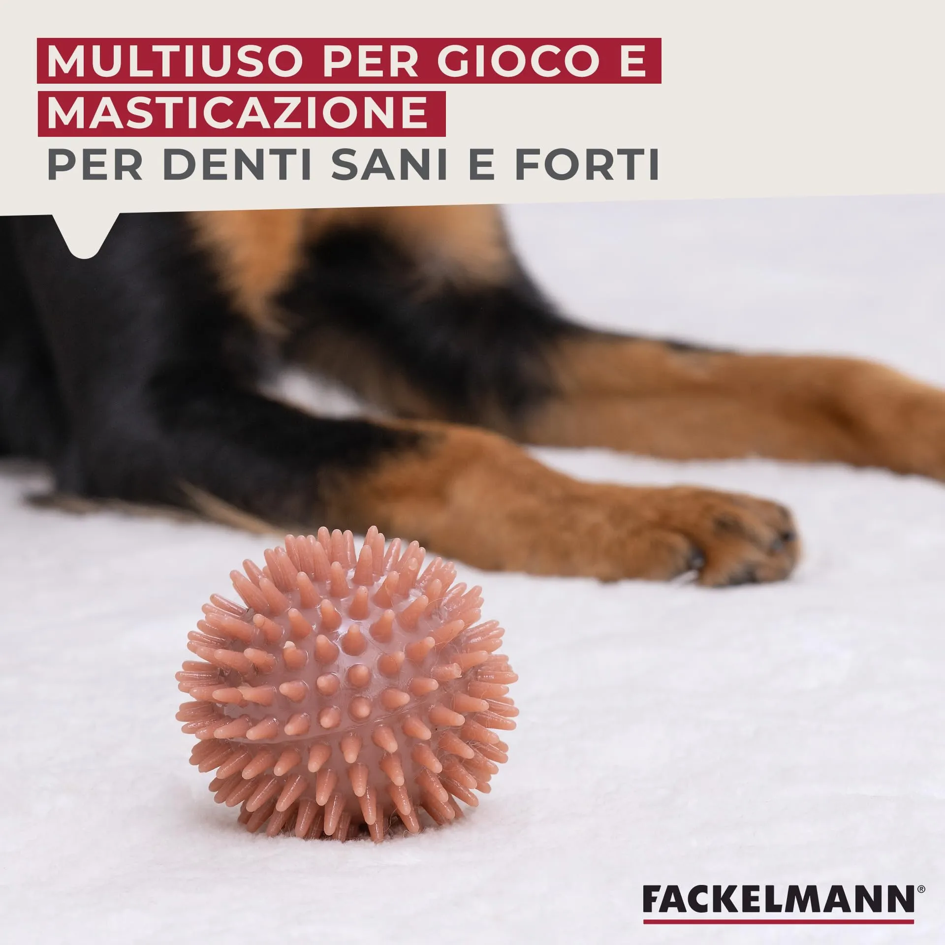 Fackelmann Palla gioco per cani in TPR, Rosso - immagine 3