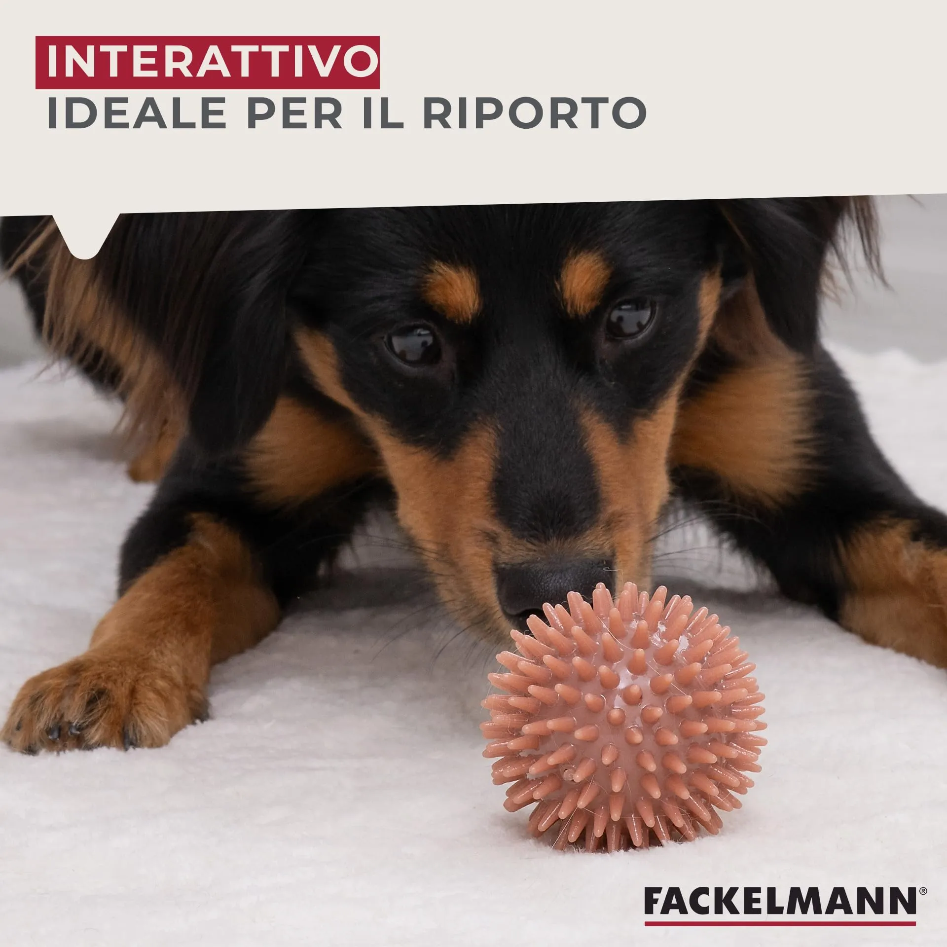 Fackelmann Palla gioco per cani in TPR, Rosso - immagine 4