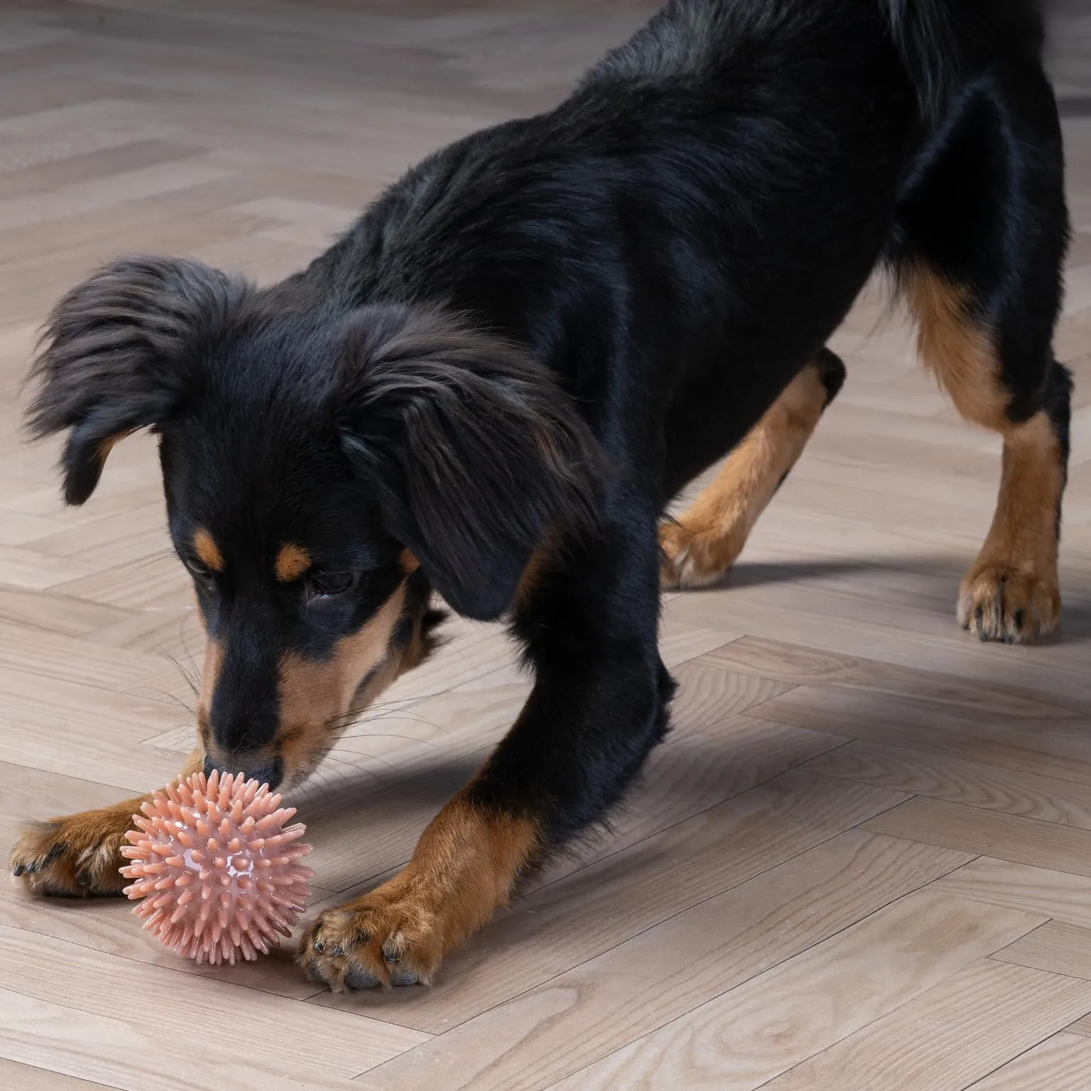 Fackelmann Palla gioco per cani in TPR, Rosso - immagine 7