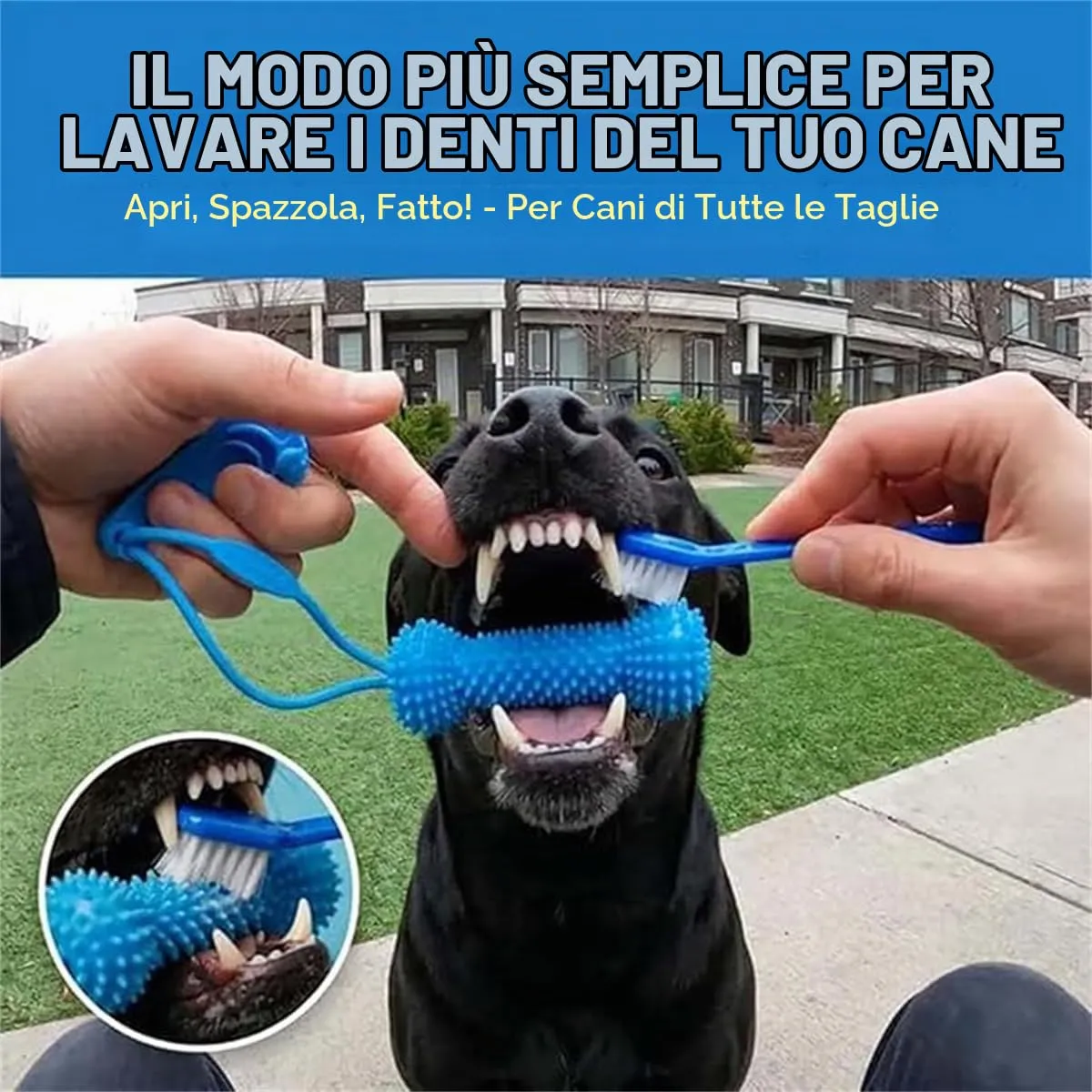 Giurui Strumento Dentale a Doppia Azione per Cani, Apribocca e Giocattolo da Mordicchiare per la Pulizia dei Denti - immagine 2