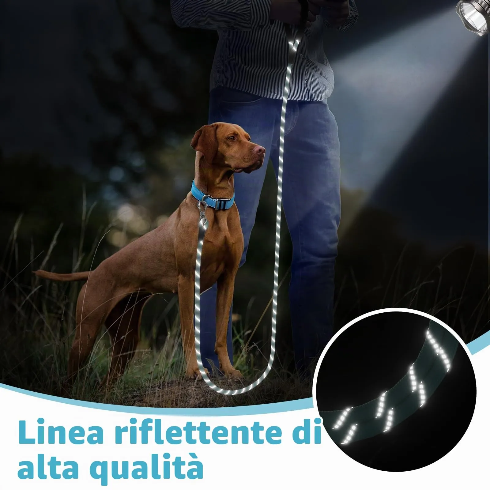 X XBEN Guinzaglio Addestramento per Cani, 10M x 10mm, Nylon con Gancio di Sicurezza e Maniglia Imbottita - immagine 6