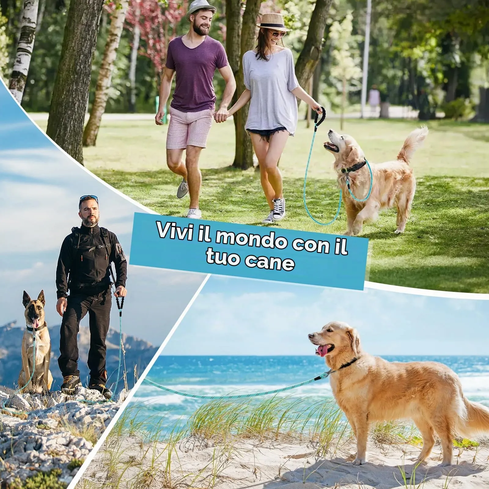 X XBEN Guinzaglio Addestramento per Cani, 10M x 10mm, Nylon con Gancio di Sicurezza e Maniglia Imbottita - immagine 7