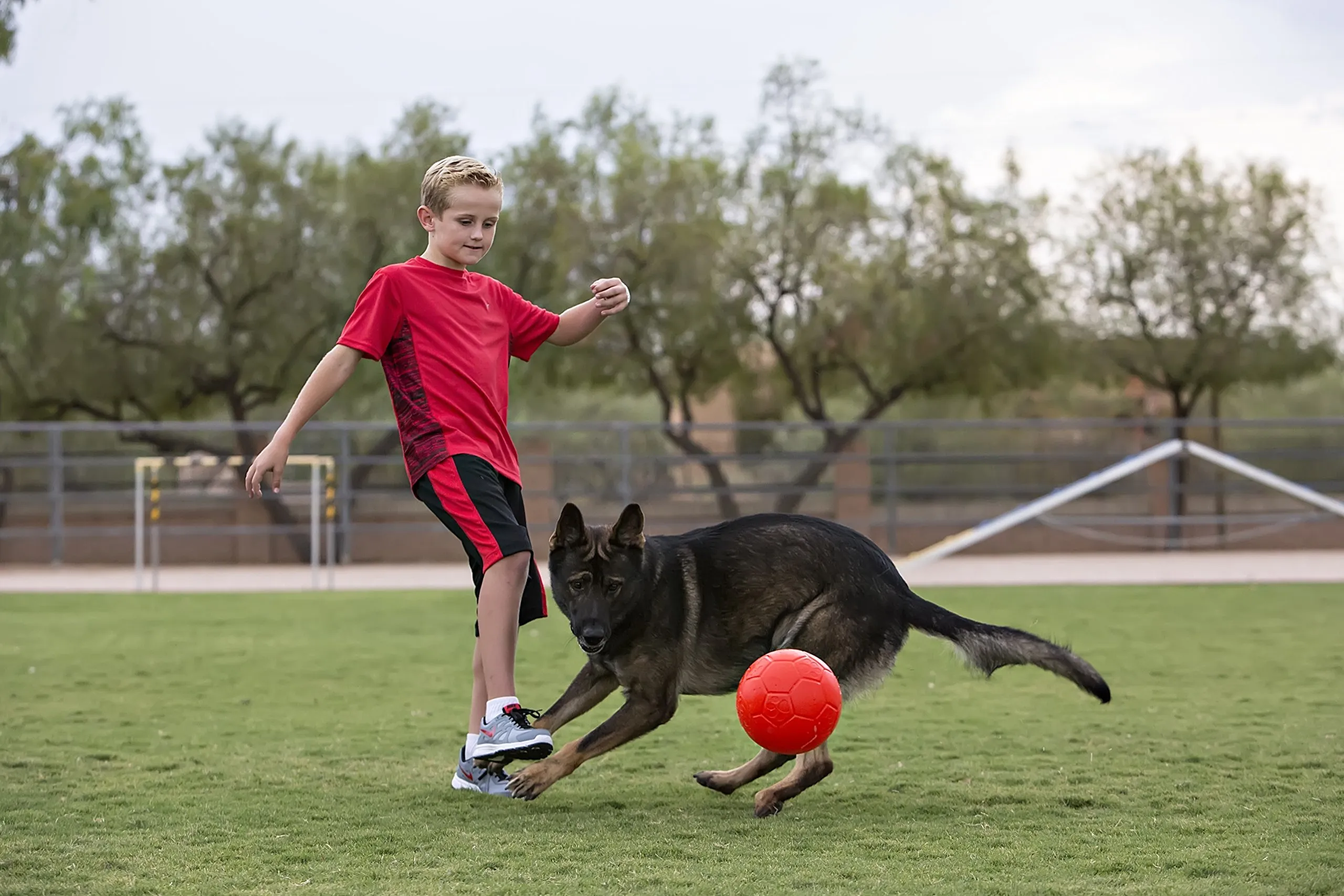 Jolly Pets Palla da Calcio per Cani, Rosso, Medium - immagine 3