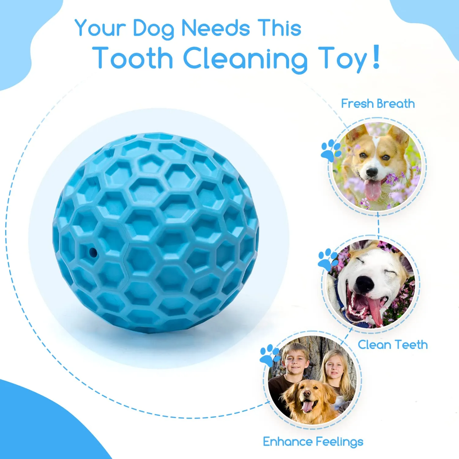 Nobleza Palla Giocattolo per Cani in Gomma Naturale con Squeak, Interattivo per Cani Medi e Grandi, Blu, Ø 5.5cm - immagine 4