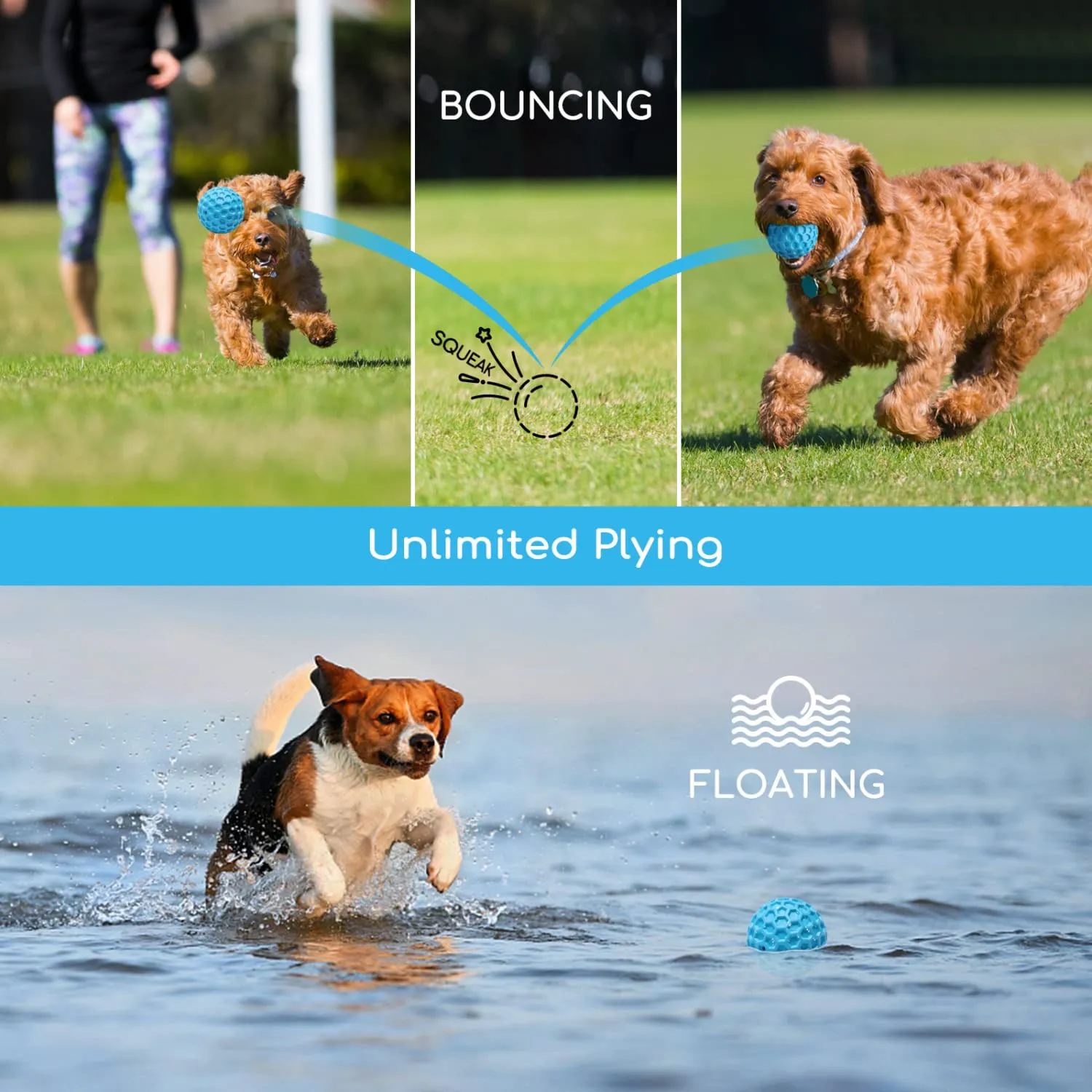 Nobleza Palla Giocattolo per Cani in Gomma Naturale con Squeak, Interattivo per Cani Medi e Grandi, Blu, Ø 5.5cm - immagine 8
