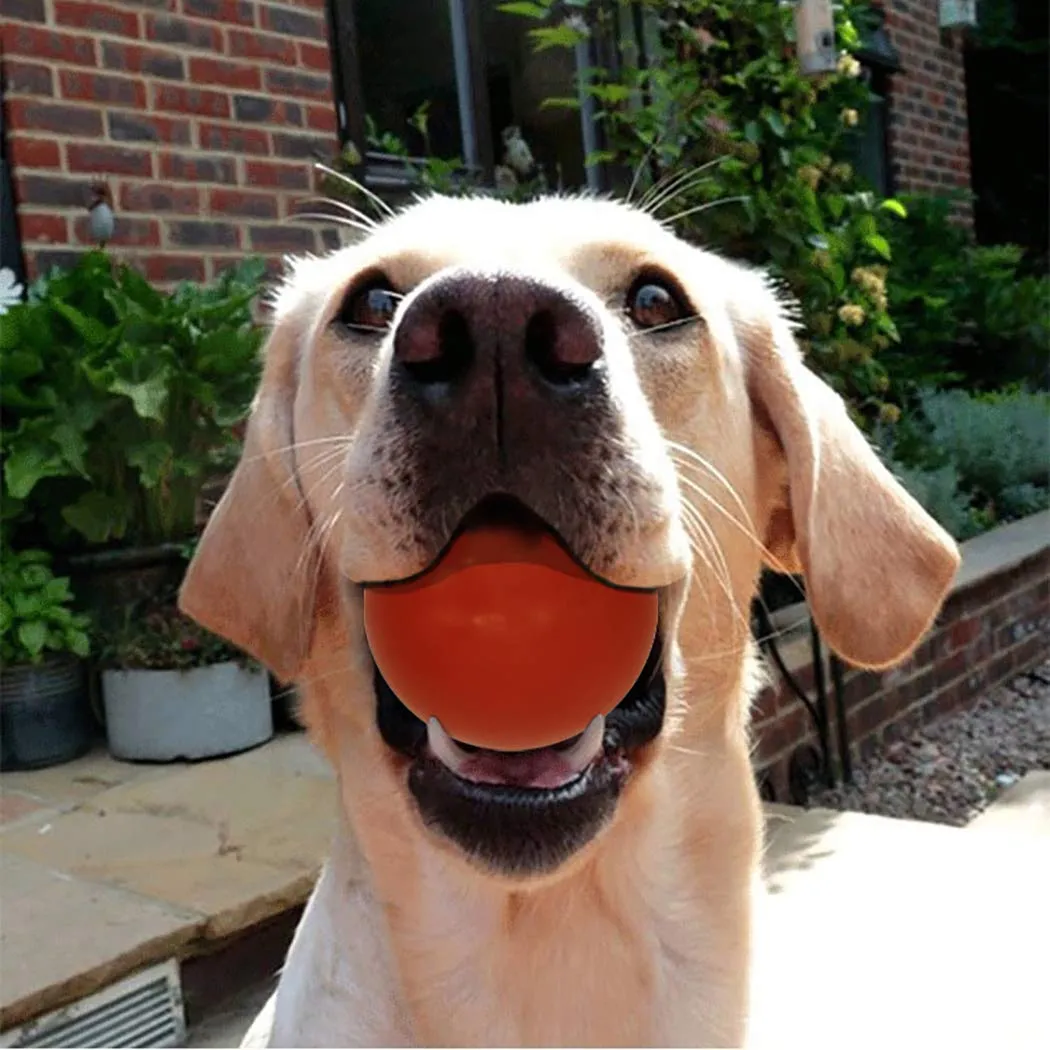 MMSGA Pallina per Cani in Gomma Naturale, 7 cm, Rosso - immagine 3