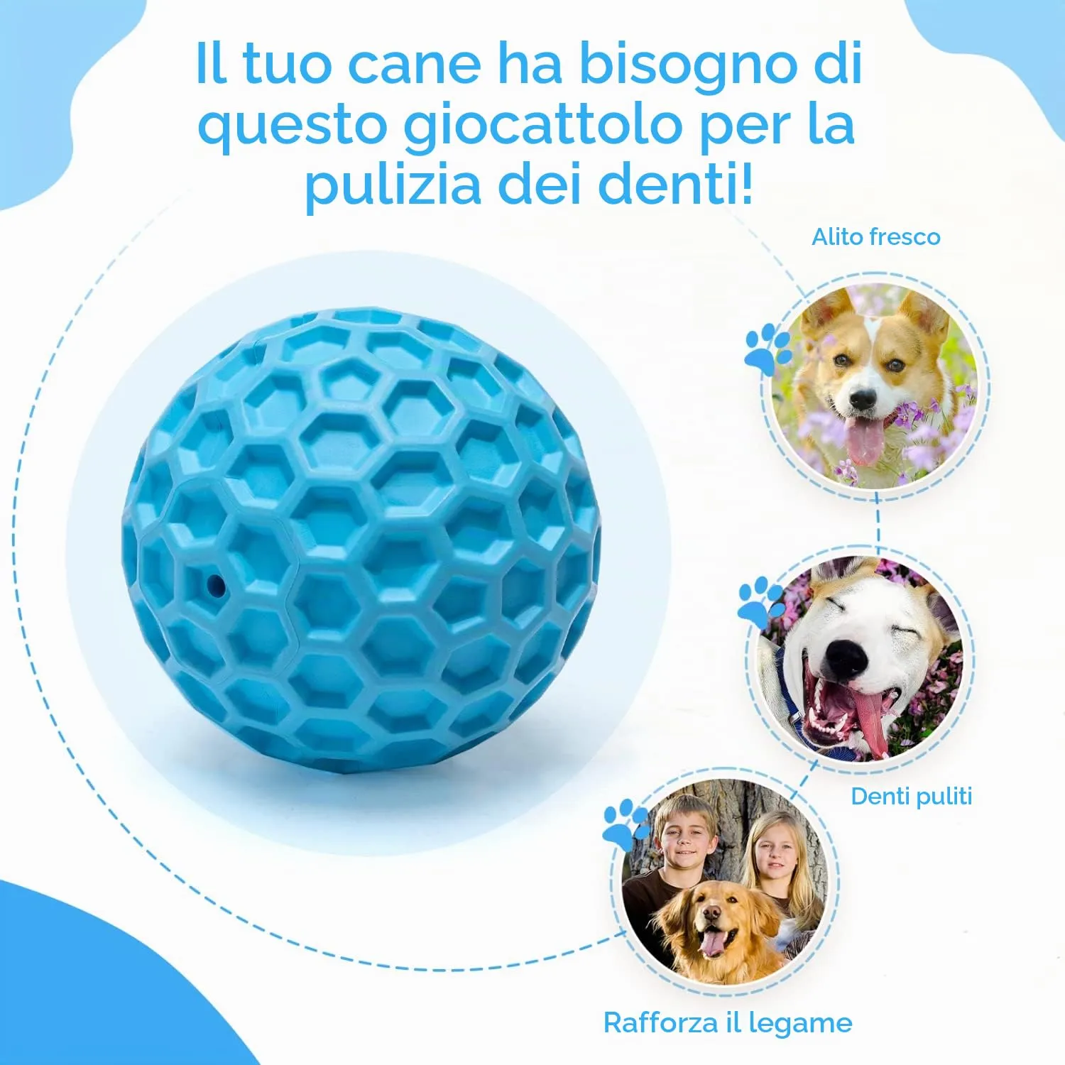 Nobleza Palla Giocattolo per Cani in Gomma Naturale con Squeak, Interattiva per Cani Medi e Grandi, Ø 8cm - immagine 3