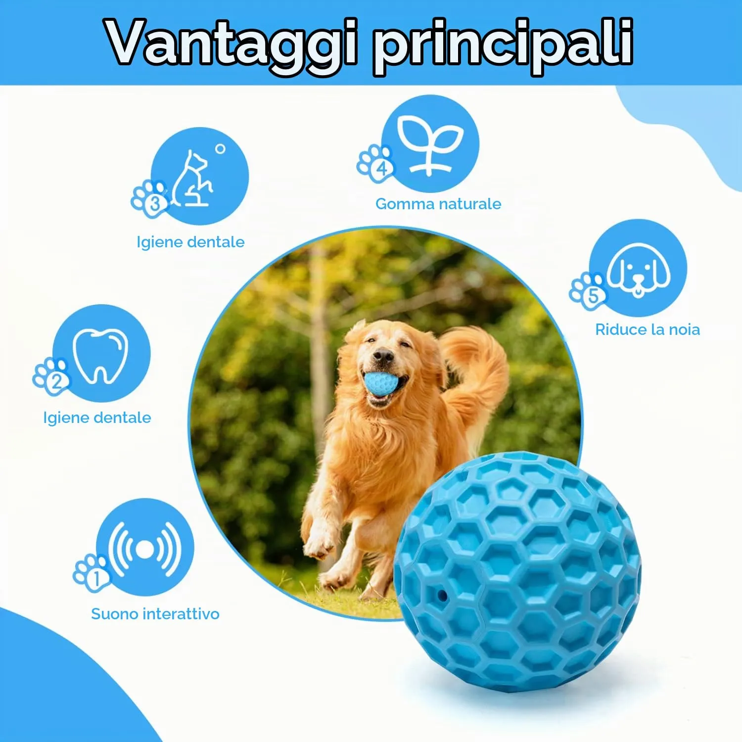 Nobleza Palla Giocattolo per Cani in Gomma Naturale con Squeak, Interattiva per Cani Medi e Grandi, Ø 8cm - immagine 5