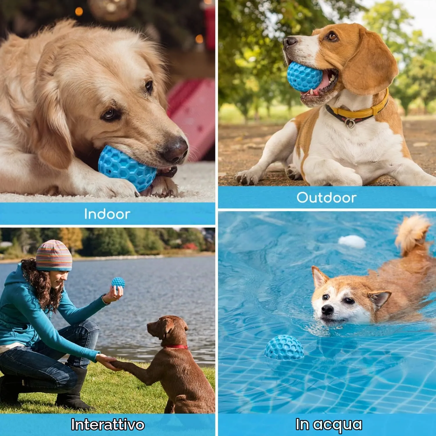 Nobleza Palla Giocattolo per Cani in Gomma Naturale con Squeak, Interattiva per Cani Medi e Grandi, Ø 8cm - immagine 8