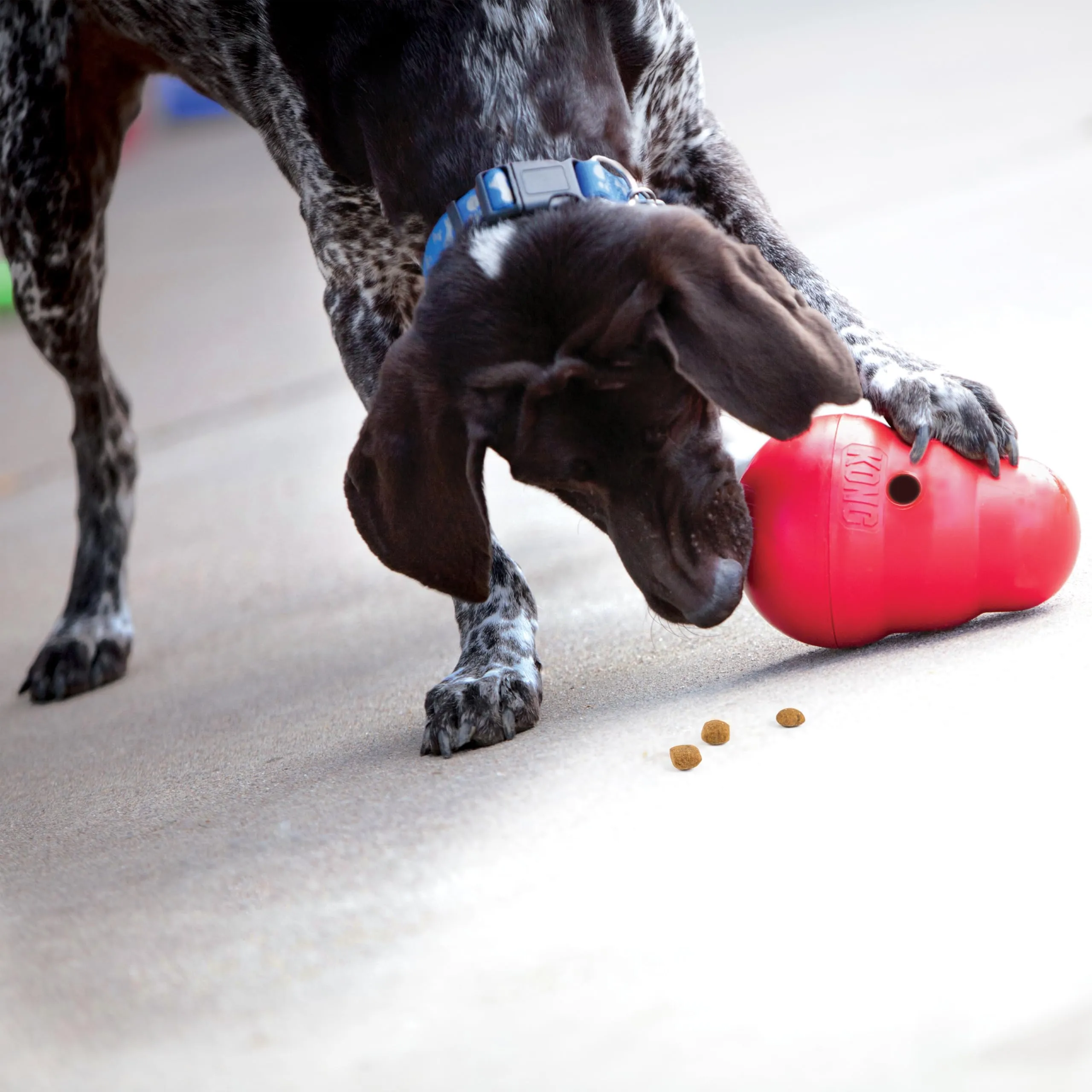 KONG Wobbler Dispenser di Biscotti, Taglia Piccola/Media - immagine 2