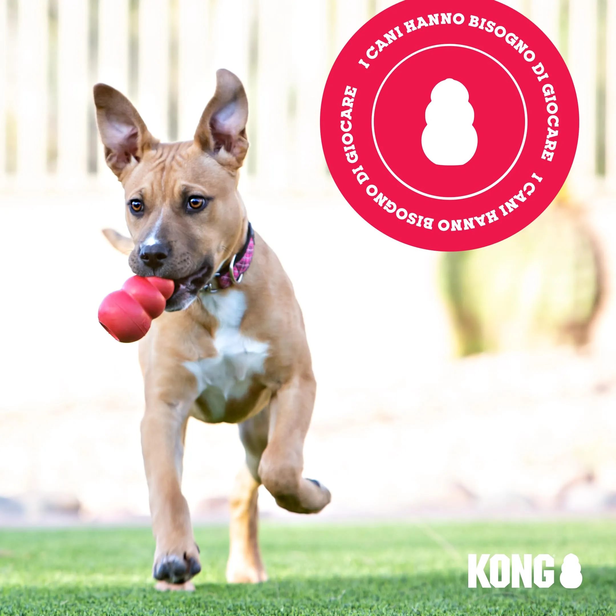 KONG Wobbler Dispenser di Biscotti, Taglia Piccola/Media - immagine 8