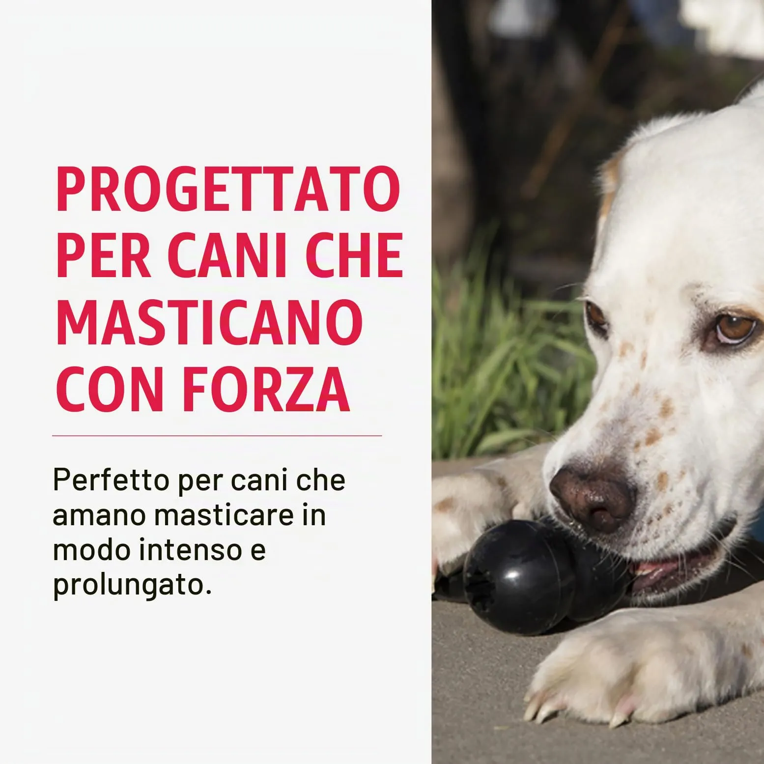 KONG Extreme Goodie Bone Osso in Gomma per Cani, Nero, Taglia L - immagine 3