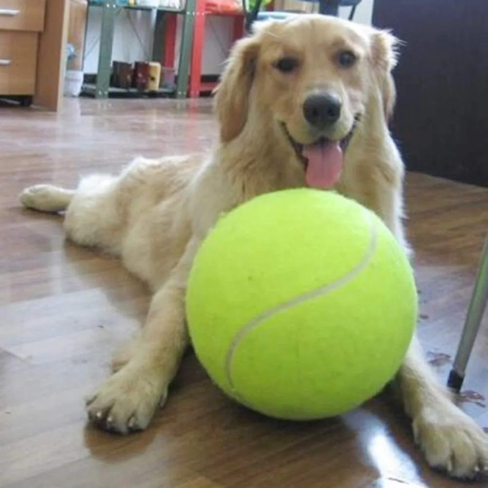Palla da tennis per cani rinforzata, 24 cm, gialla - immagine 6