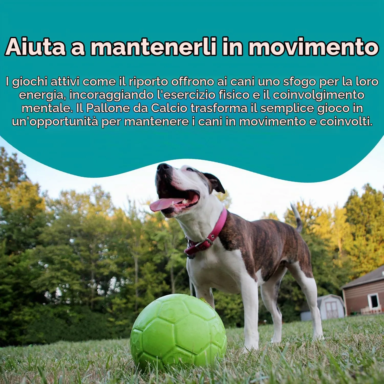 Jolly Pets Palla da Calcio per Cani Verde Mela, Large - immagine 4