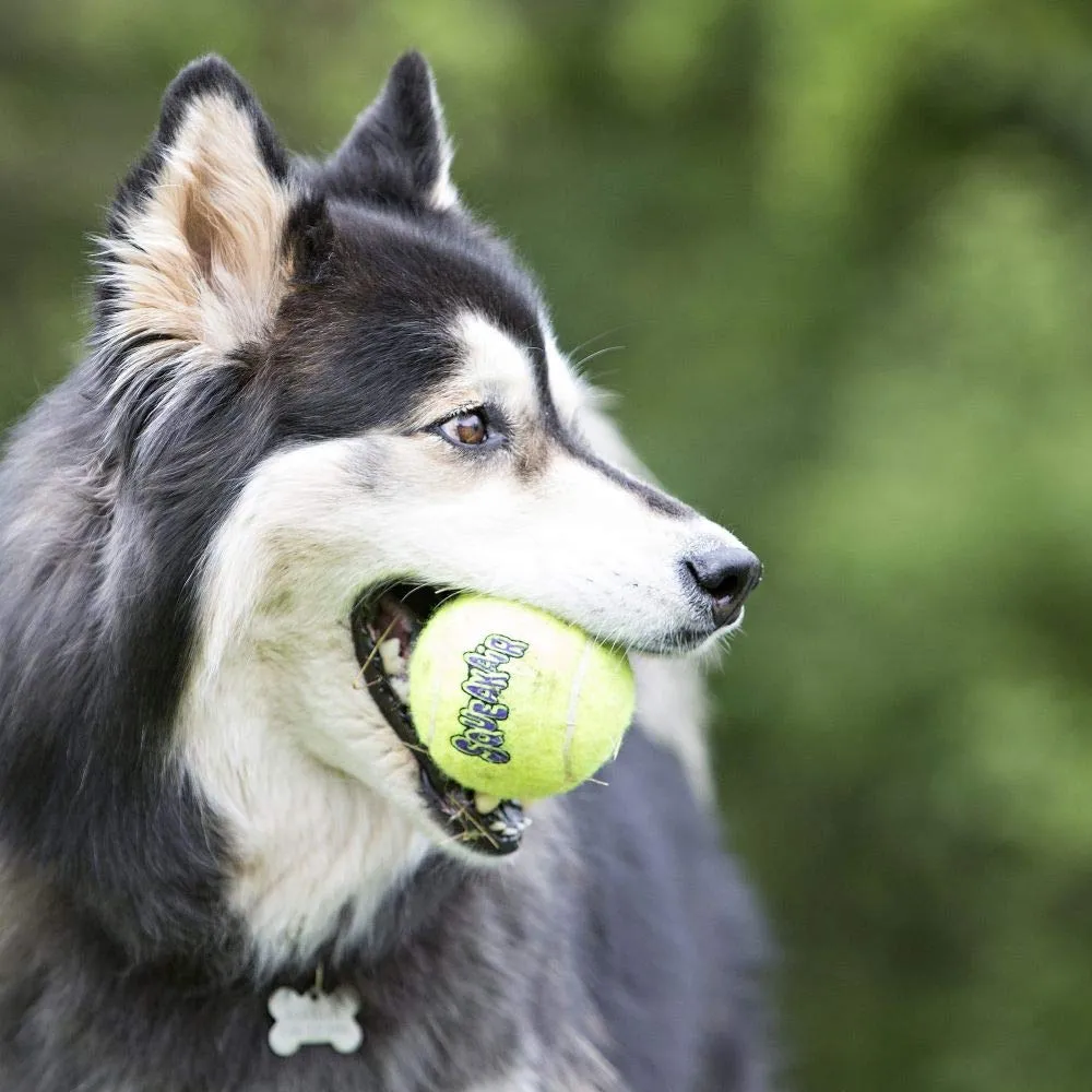 KONG Squeakair Palline da tennis con squeak, Taglia L (confezione da 2) - immagine 2