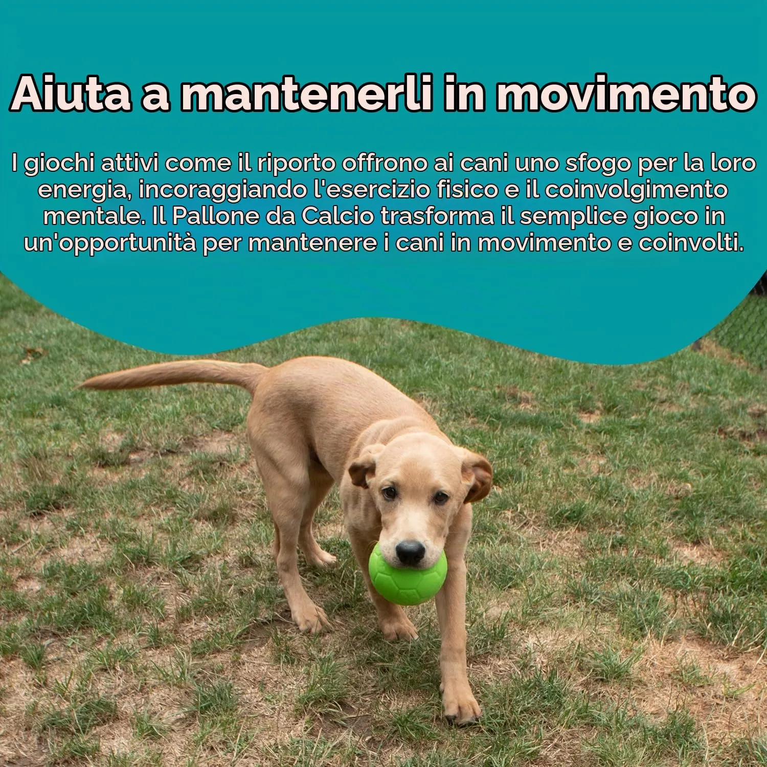 Jolly Pets Palla da Calcio per Cani - Verde Mela - 217 g - immagine 4