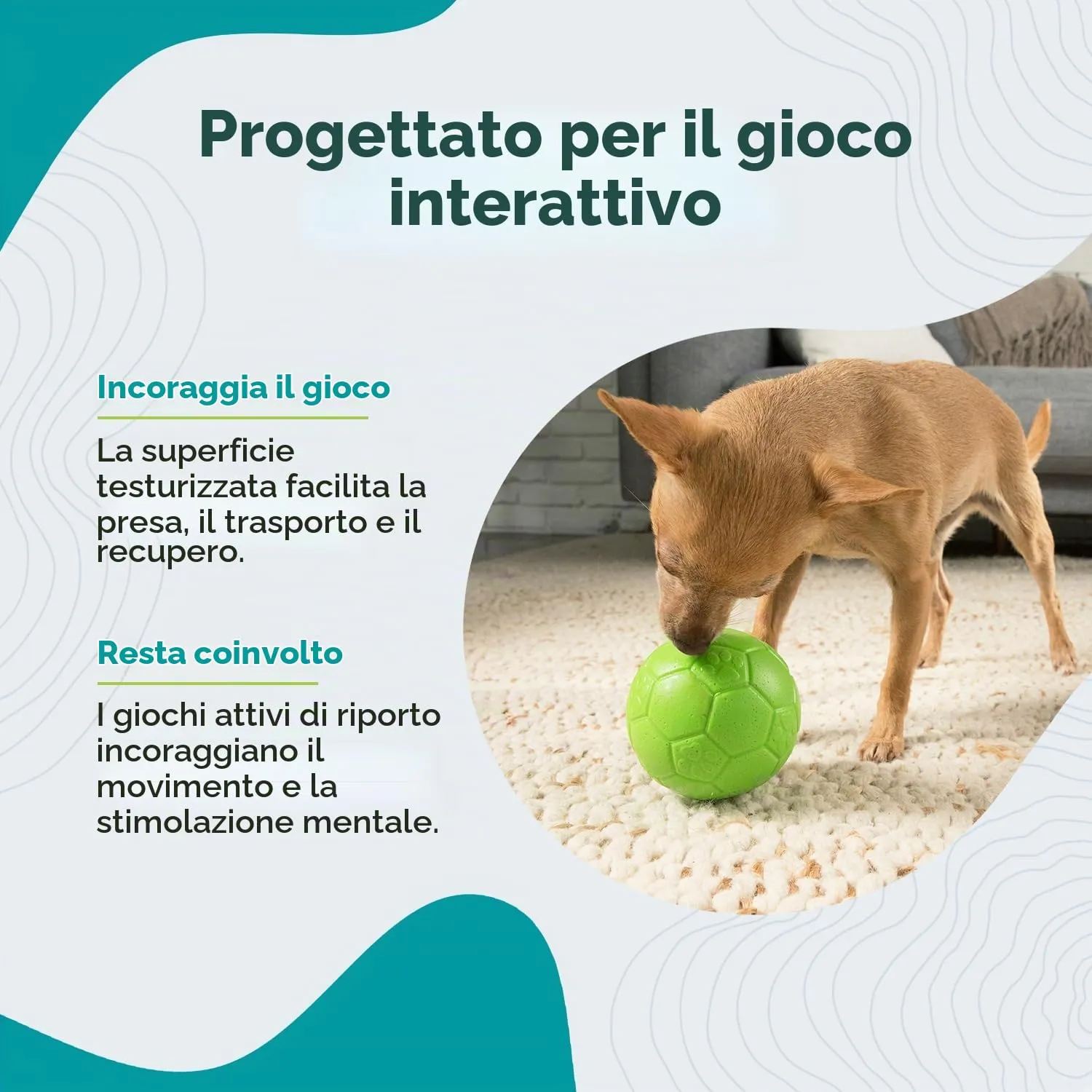 Jolly Pets Palla da Calcio per Cani, Arancione, Medium - immagine 3