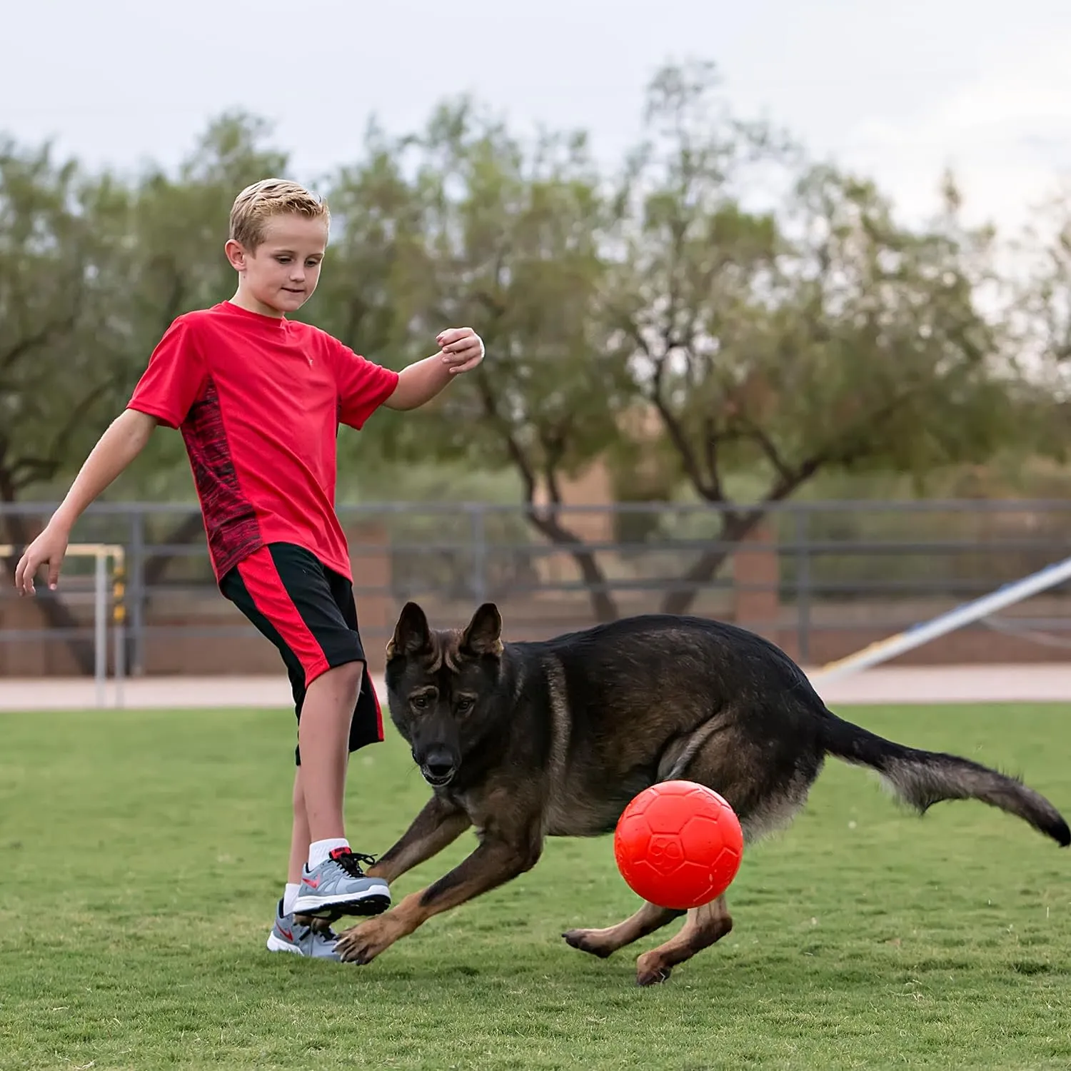 Jolly Pets Palla da Calcio per Cani, Arancione, Medium - immagine 7