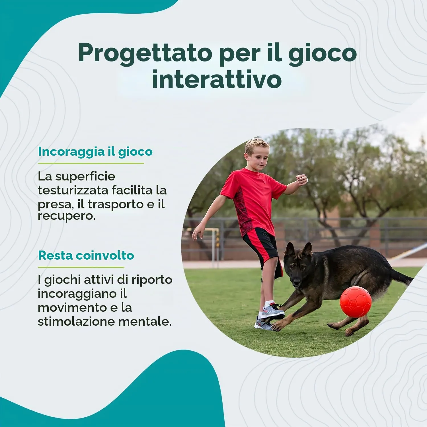 Jolly Pets Palla per cani, 20.3 cm, Aracnione - immagine 5